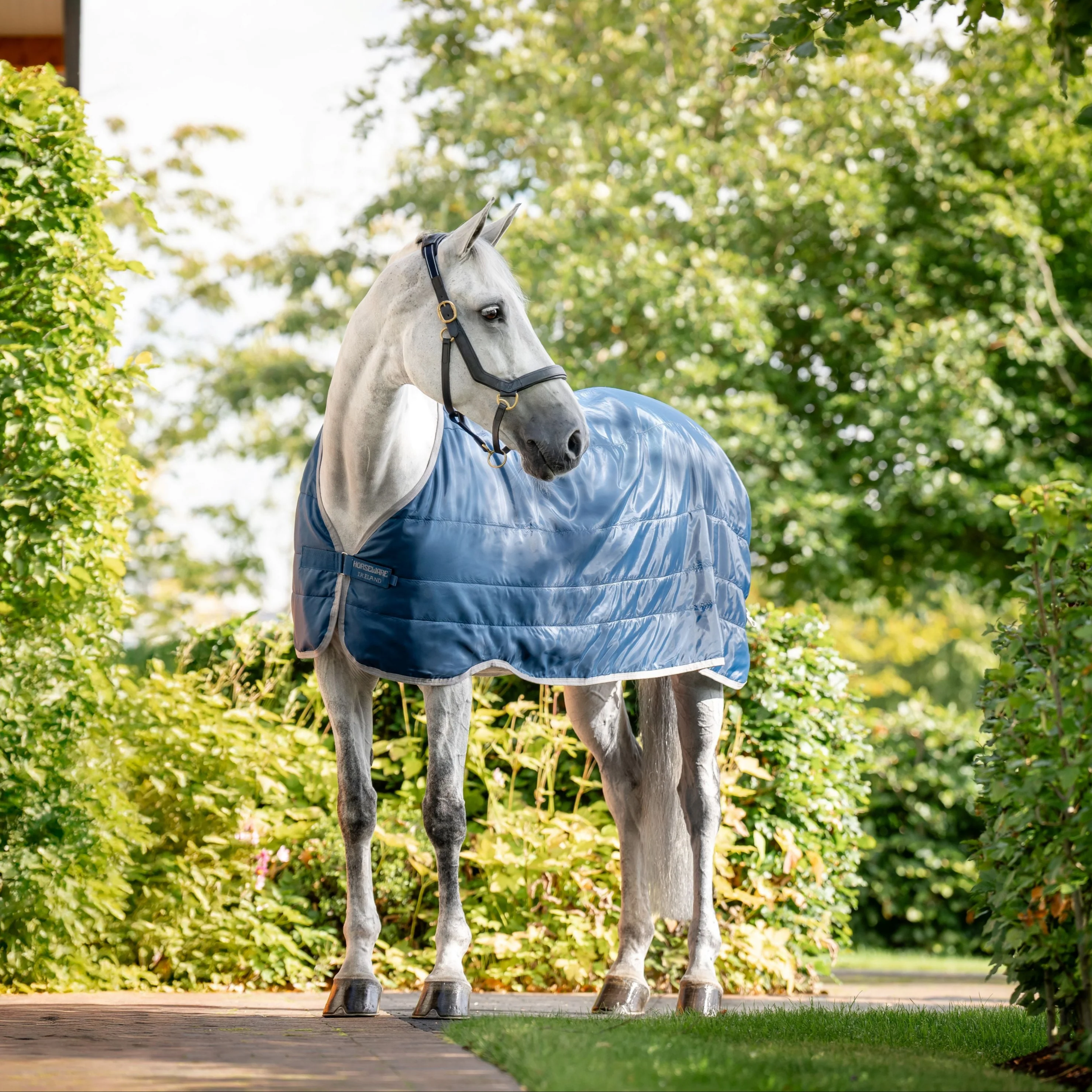 Horseware Ireland Ionic 200g Therapy Liner - Image 2
