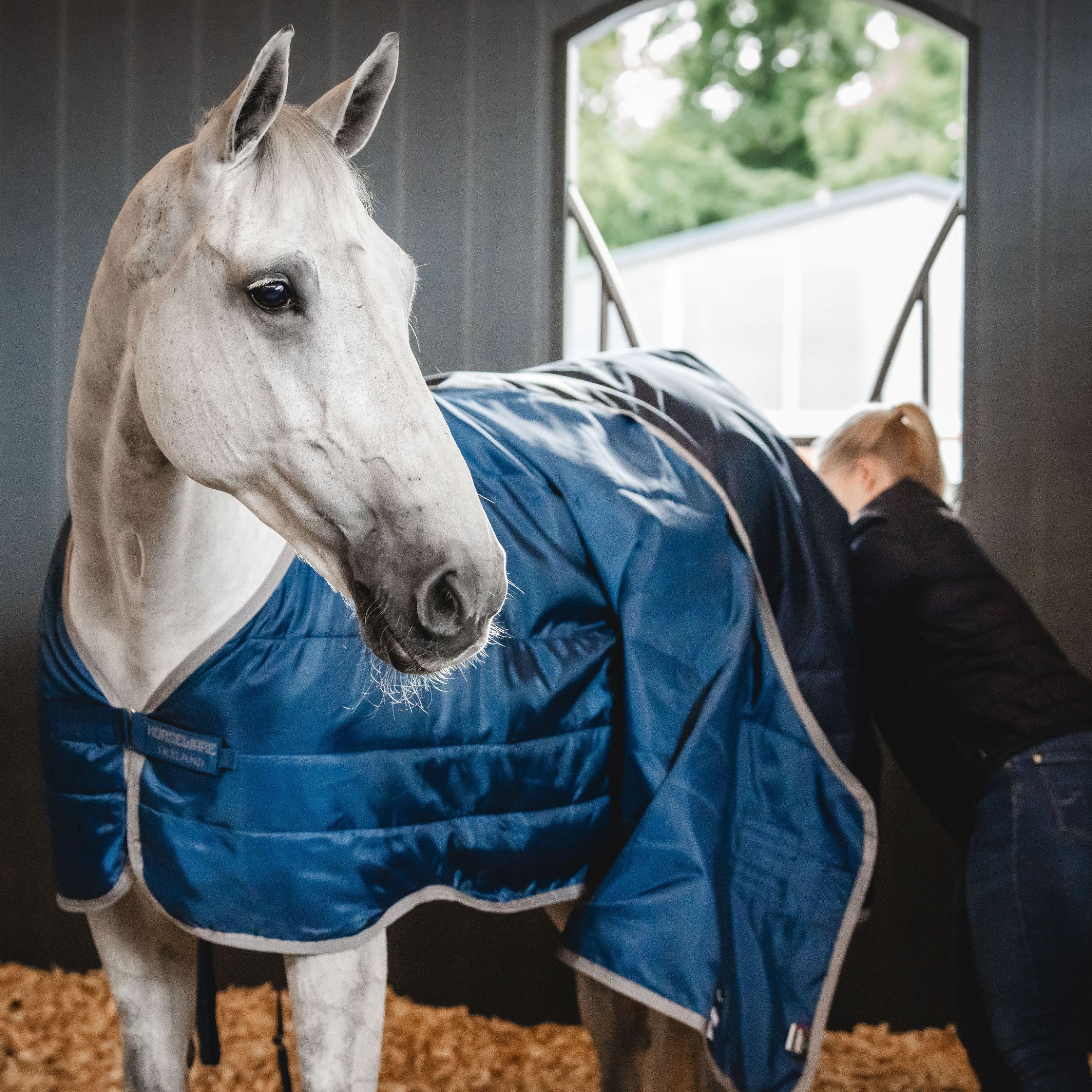 Horseware Ireland Ionic 200g Therapy Liner - Image 3