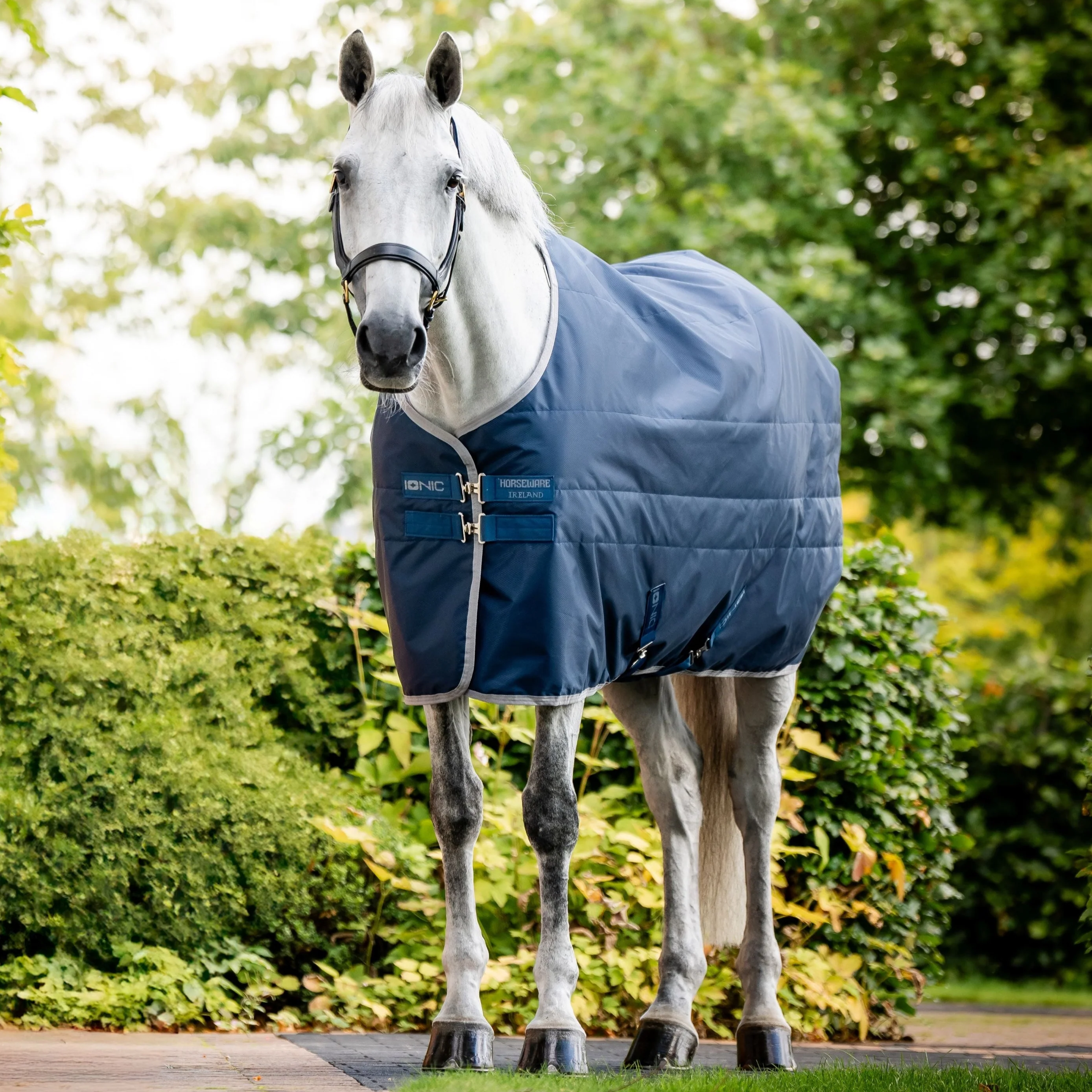Horseware Ireland Ionic 50g Therapy Stable Rug - Image 2