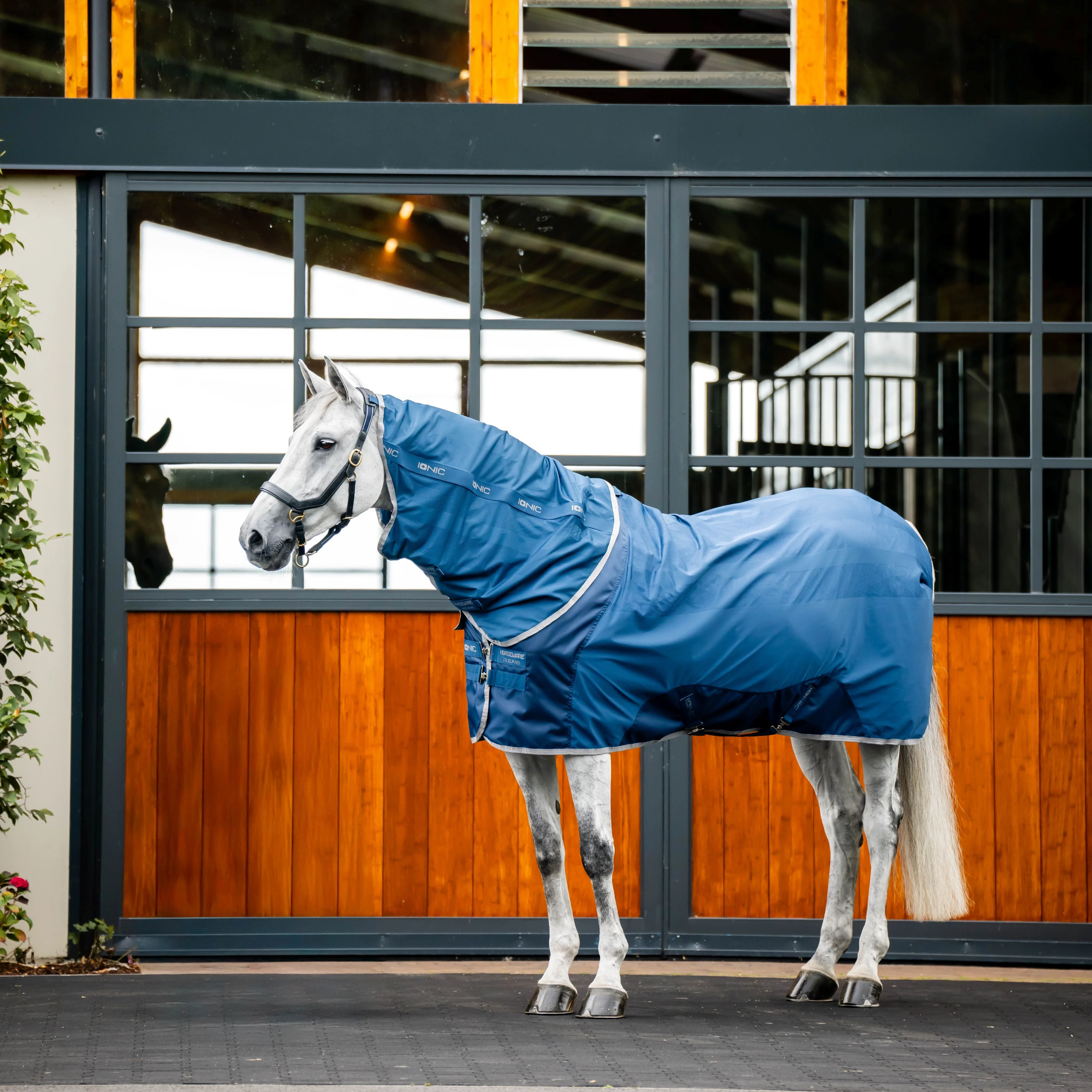 Horseware Ireland Ionic Therapy Mesh Cooler - Image 3