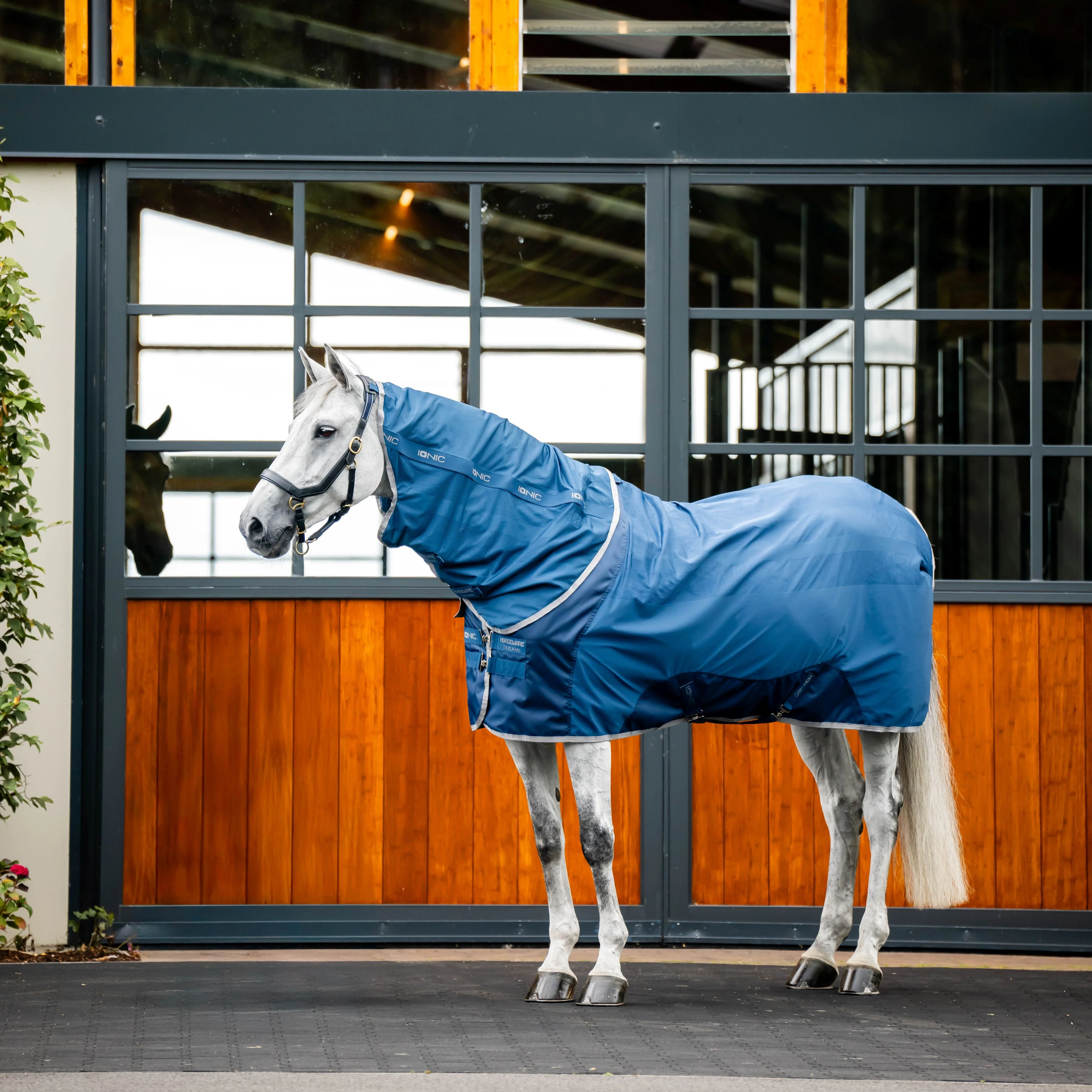 Horseware Ireland Ionic Therapy Mesh Cooler Hood - Image 2