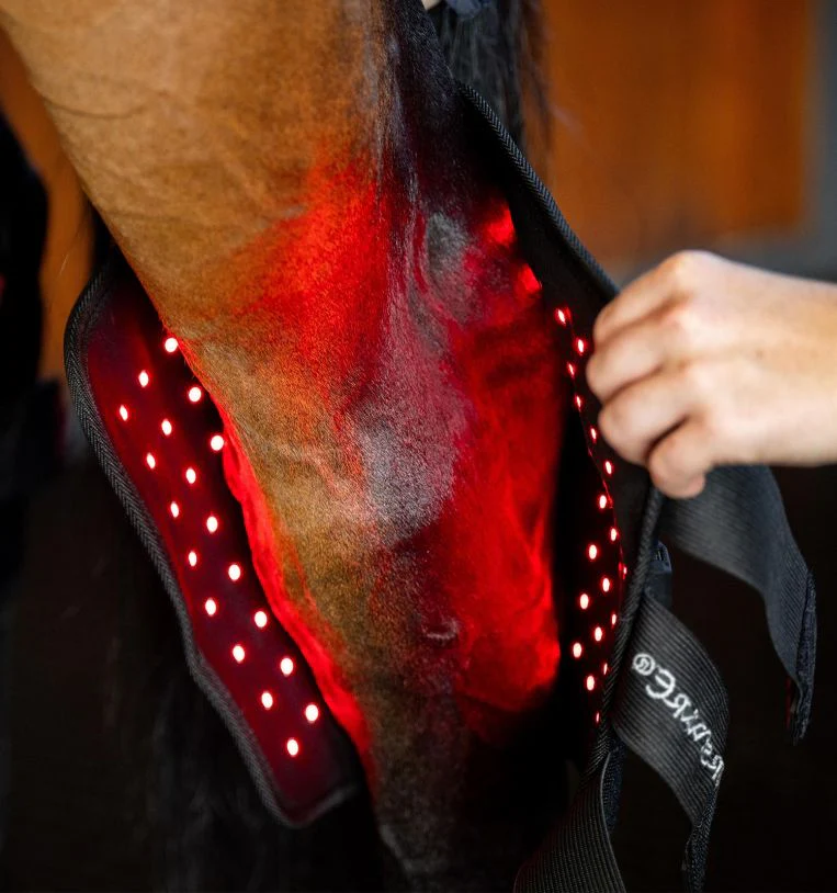 Horseware Ireland LED Red Light Therapy Hock Boot - Image 3