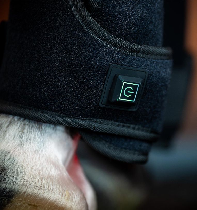 Horseware Ireland LED Red Light Therapy Leg Wrap - Image 8