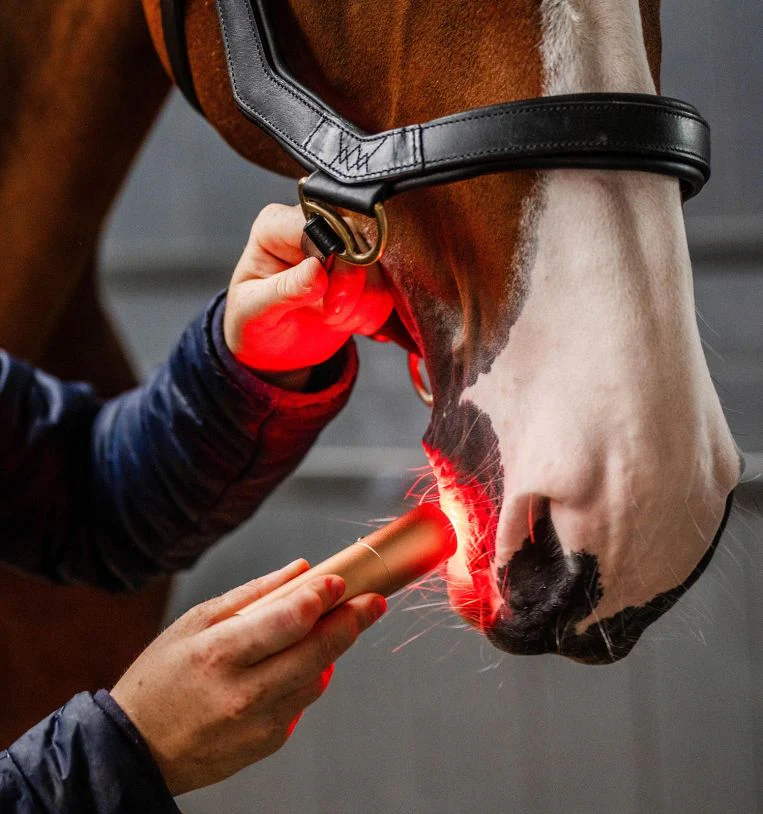Horseware Ireland LED Red Light Therapy Wand - Image 4