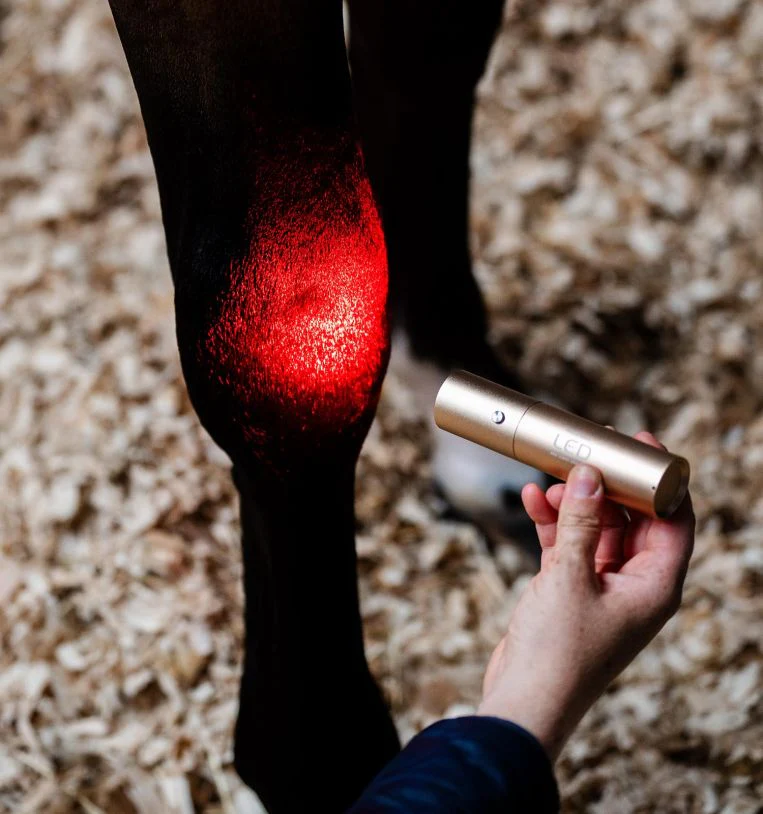 Horseware Ireland LED Red Light Therapy Wand - Image 5