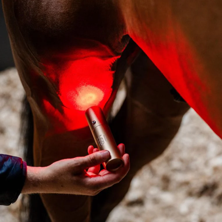 Horseware Ireland LED Red Light Therapy Wand - Image 7
