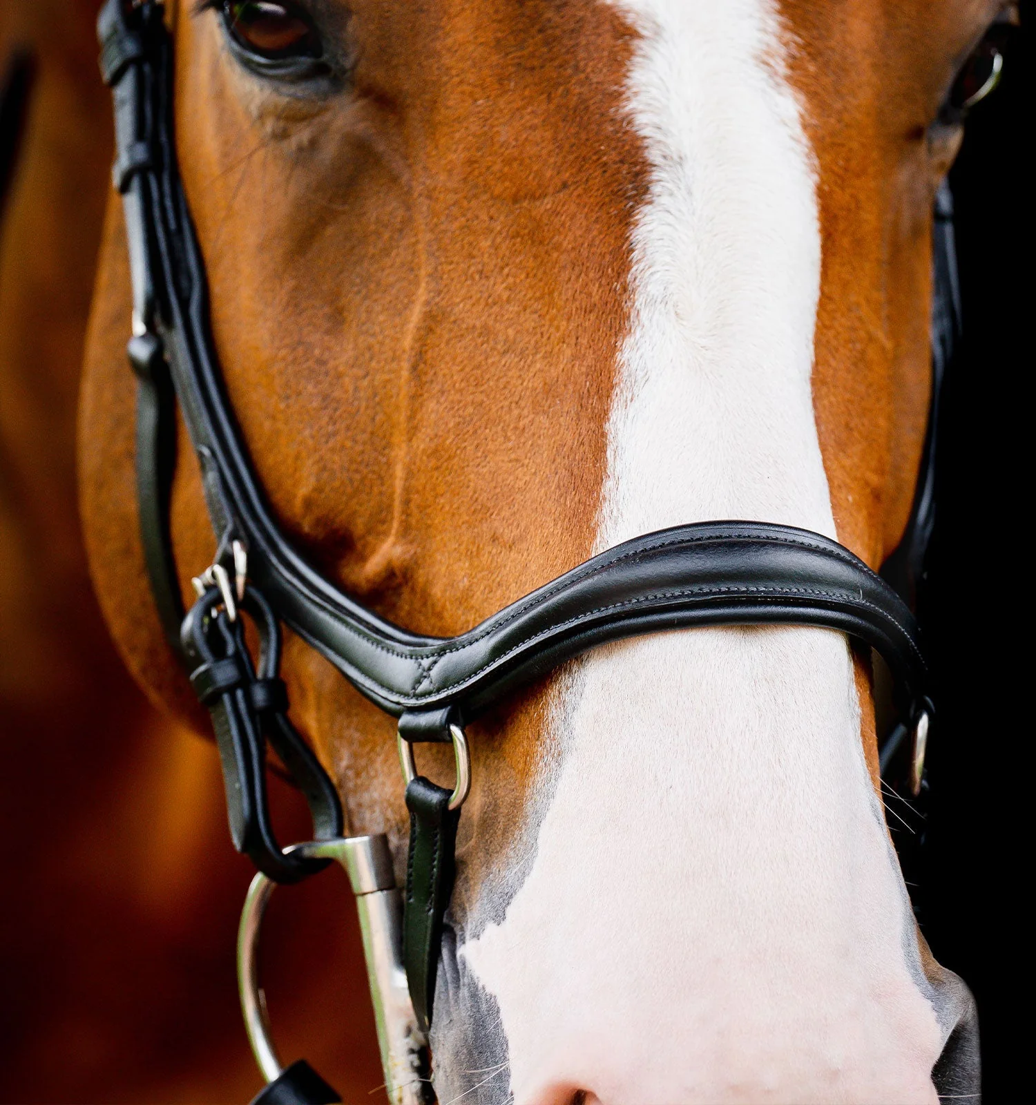 Horseware Ireland Micklem 2 Deluxe Competition Bridle With Reins - Image 2