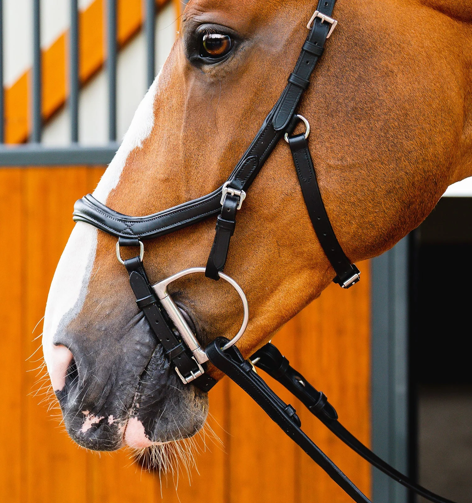 Horseware Ireland Micklem 2 Deluxe Competition Bridle With Reins - Image 3