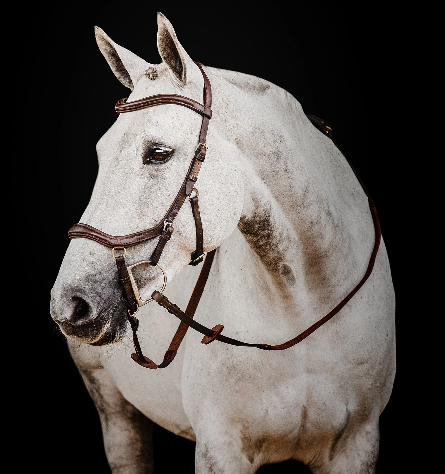 Horseware Ireland Micklem 2 Deluxe Competition Bridle With Reins - Image 4