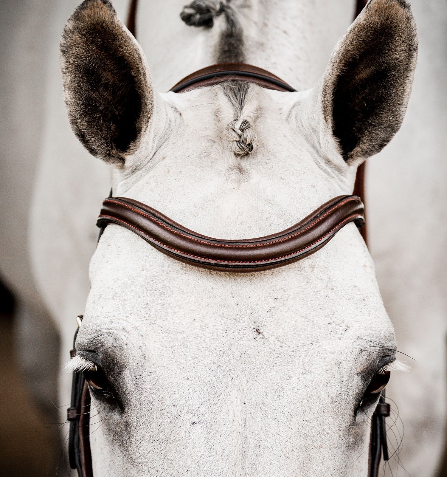 Horseware Ireland Micklem 2 Deluxe Competition Bridle With Reins - Image 5