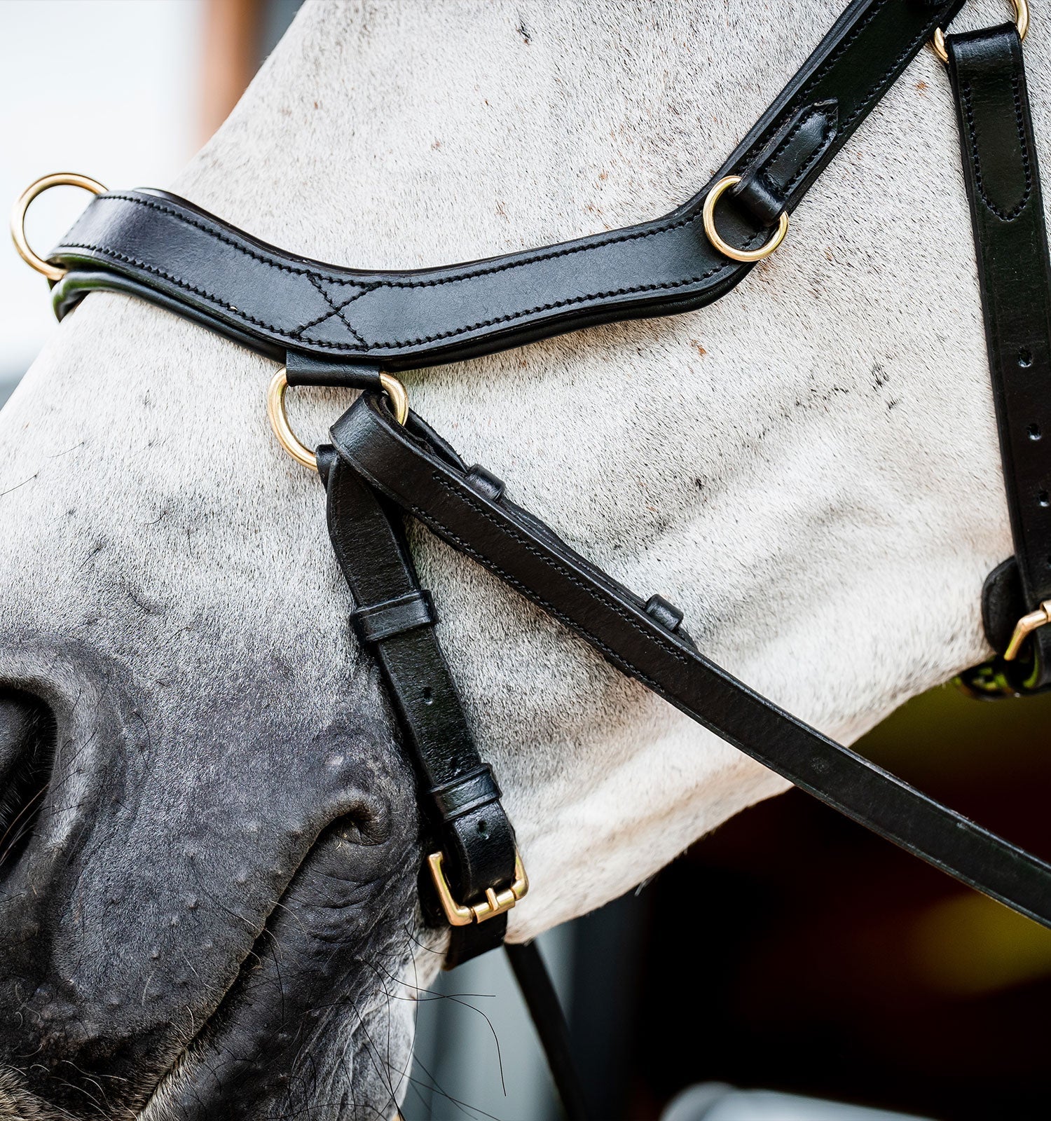 Horseware Ireland Micklem 2 Multi Bridle - Image 3