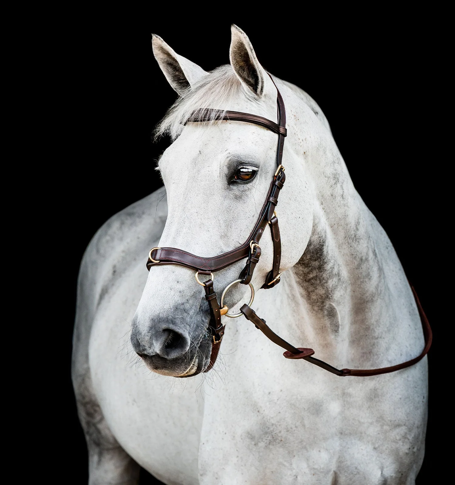 Horseware Ireland Micklem 2 Multi Bridle - Image 5