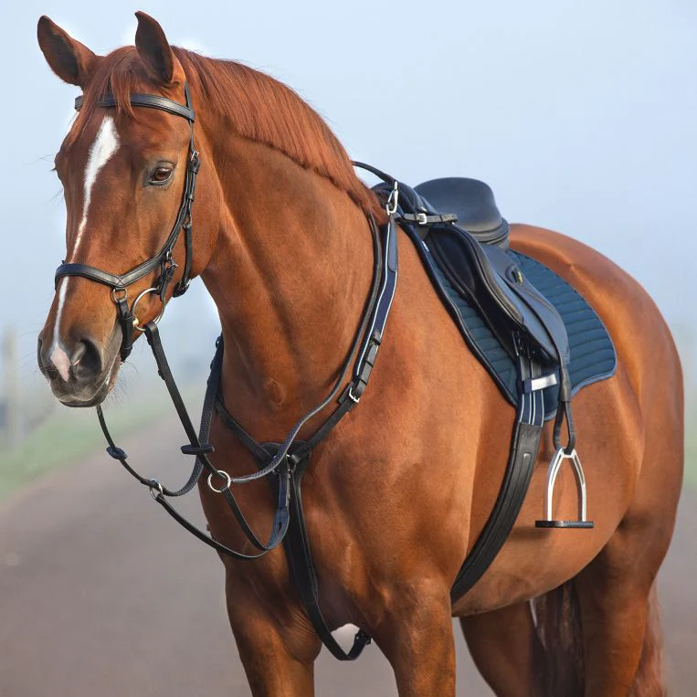 Horseware Ireland Micklem Breastplate with Martingale - Image 3