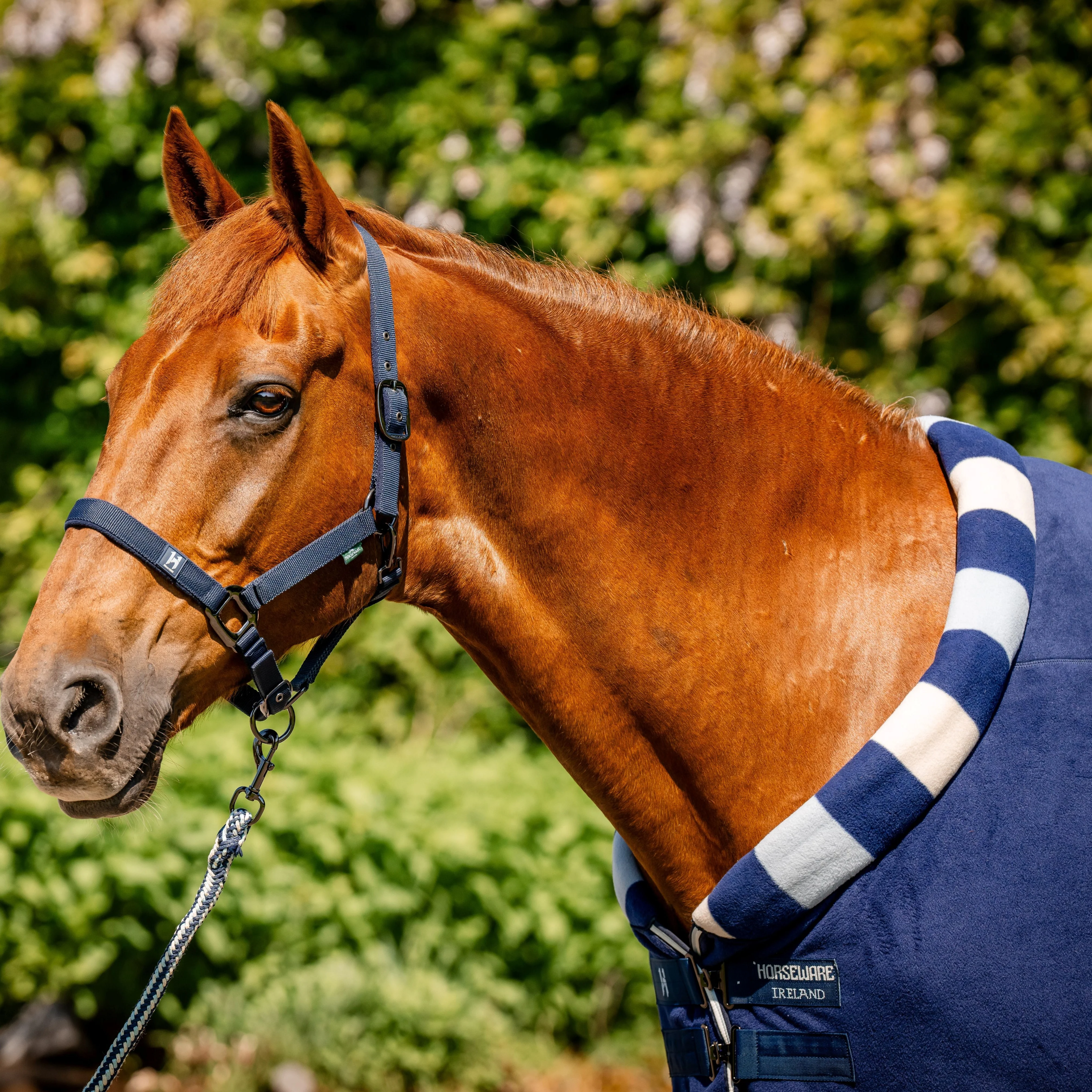 Horseware Ireland Newmarket Cosy Fleece Cooler - Image 2