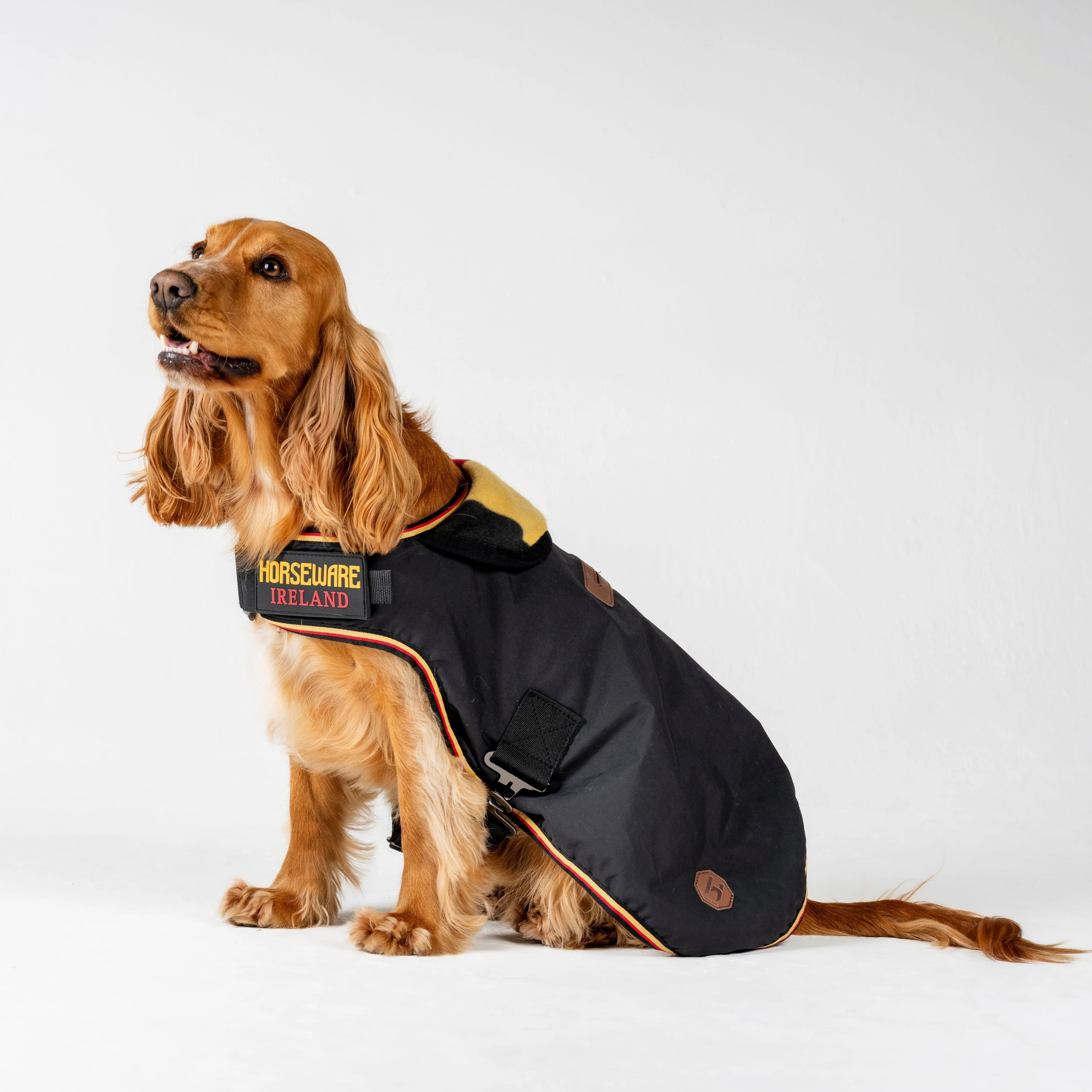 Horseware Ireland Newmarket Dog Coat