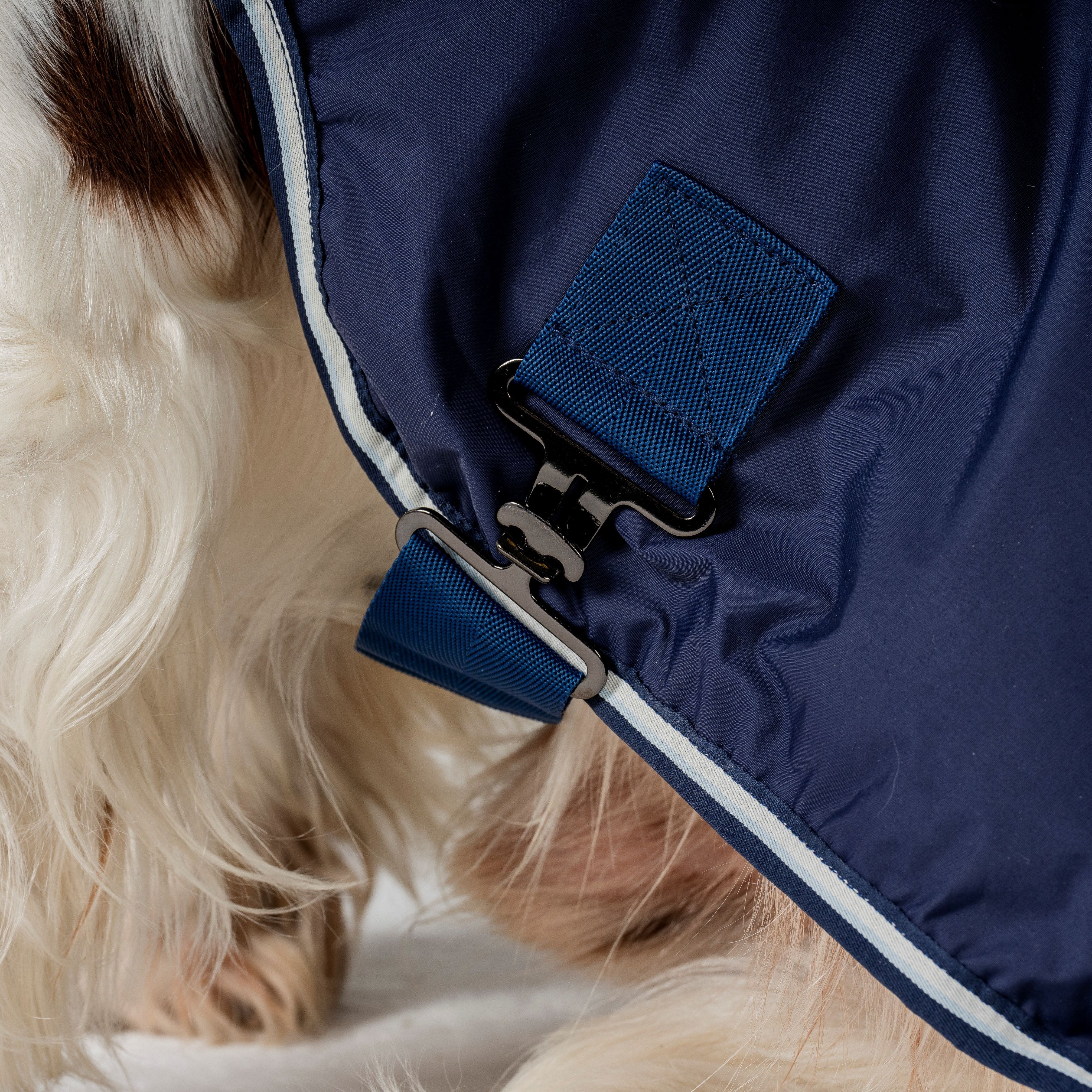 Horseware Ireland Newmarket Dog Coat - Image 13