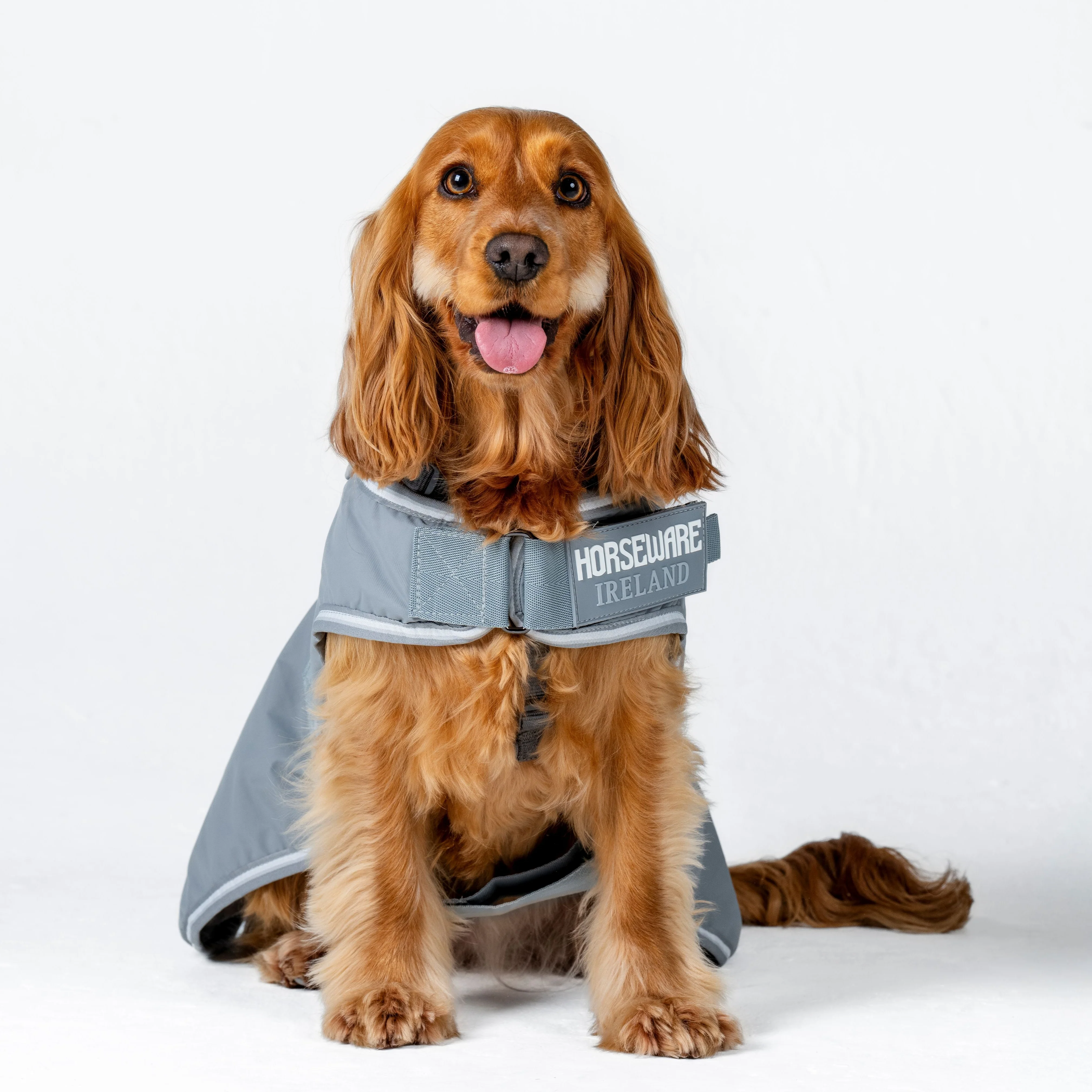 Horseware Ireland Newmarket Dog Coat - Image 16