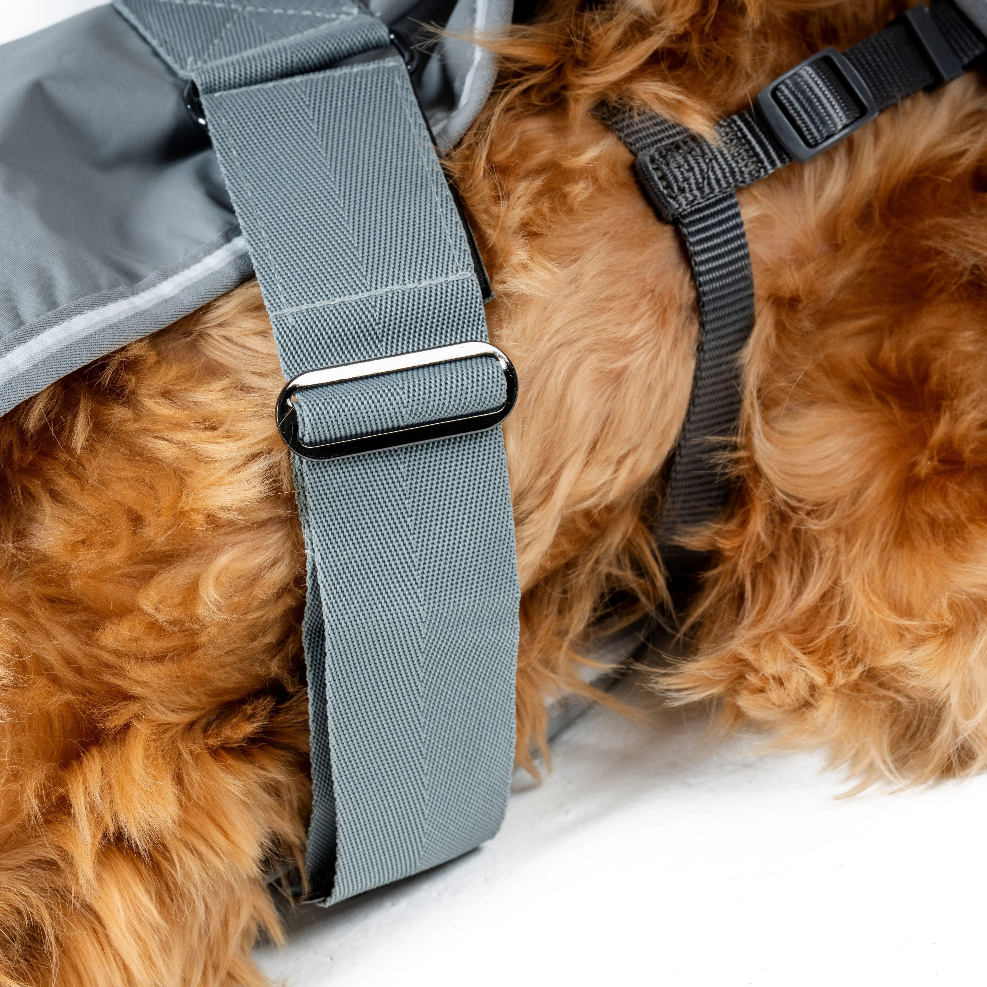 Horseware Ireland Newmarket Dog Coat - Image 20