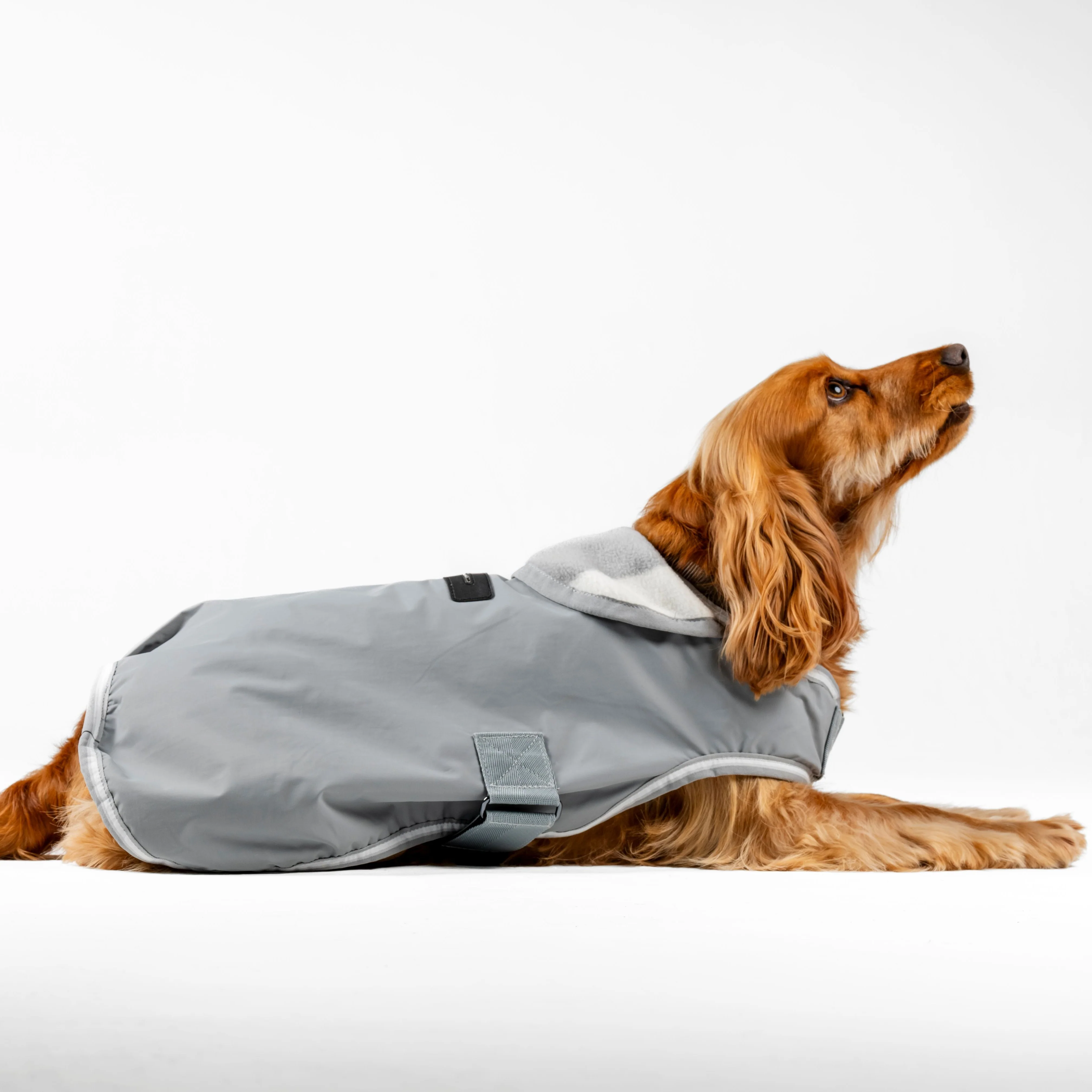 Horseware Ireland Newmarket Dog Coat - Image 21