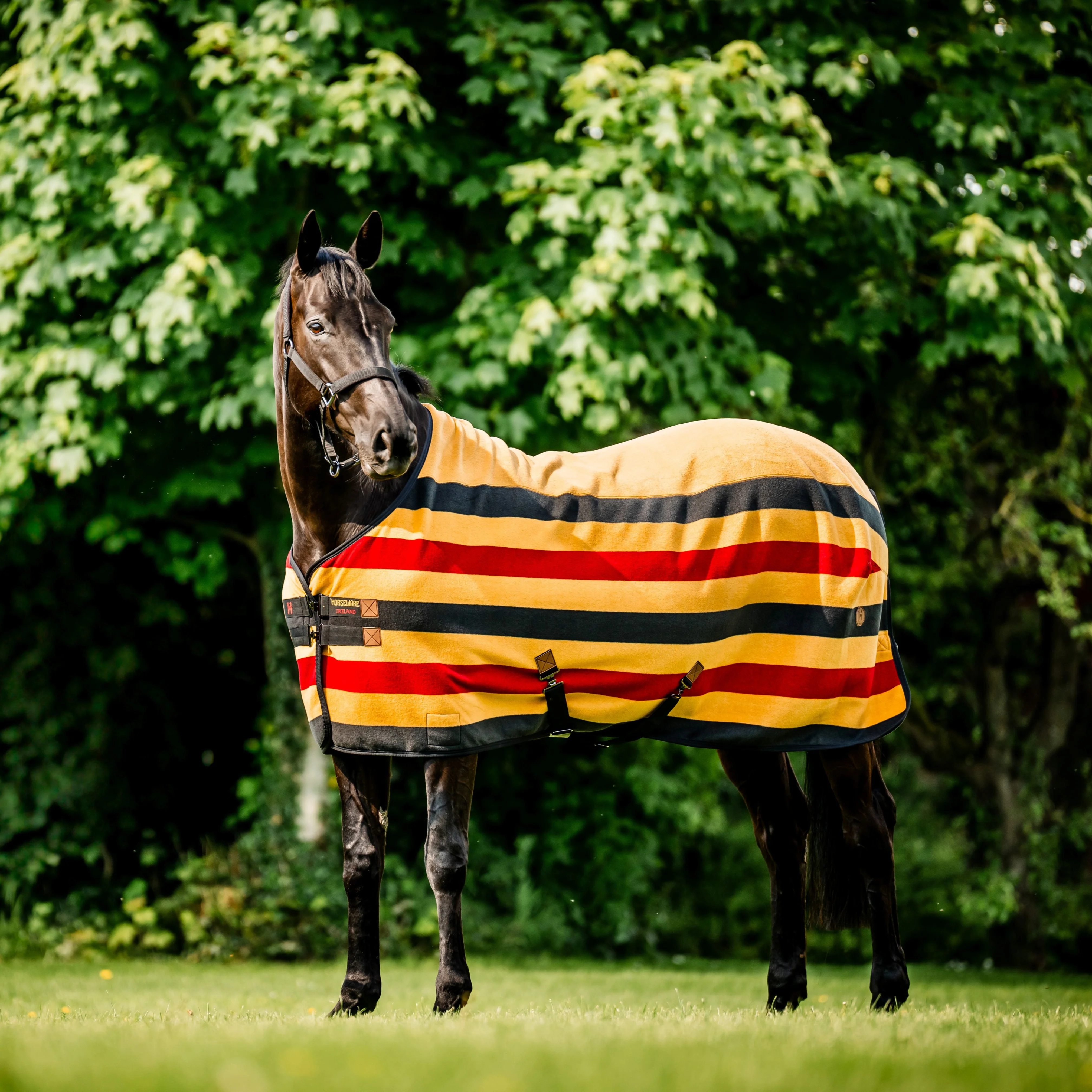 Horseware Ireland Newmarket Fleece Cooler - Image 4