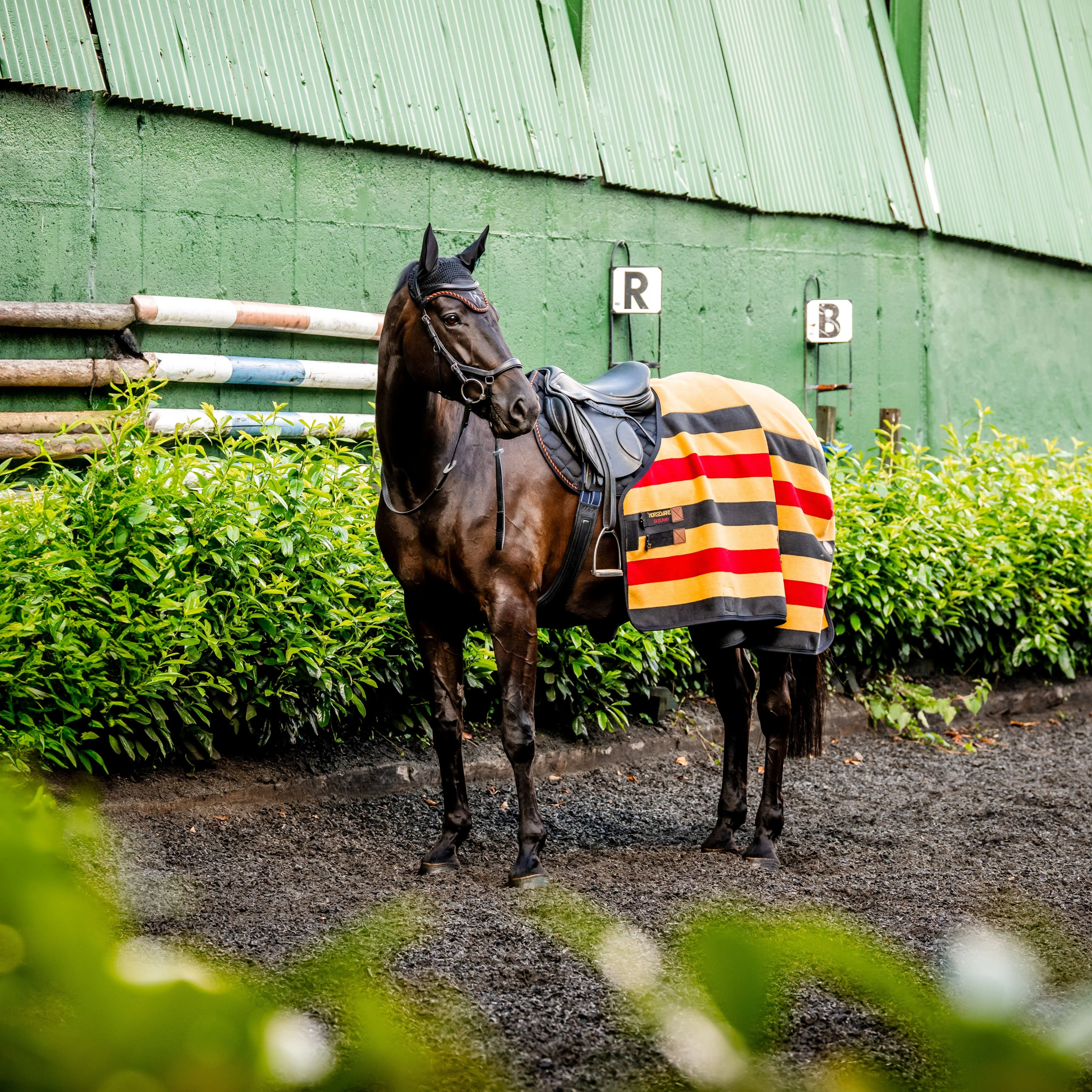 Horseware Ireland Newmarket Fleece Cooler - Image 5