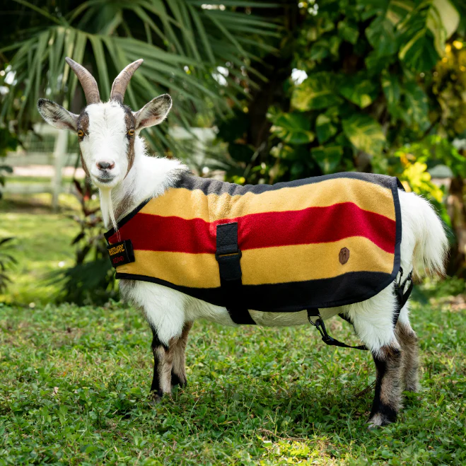 Horseware Ireland Newmarket Goat Fleece