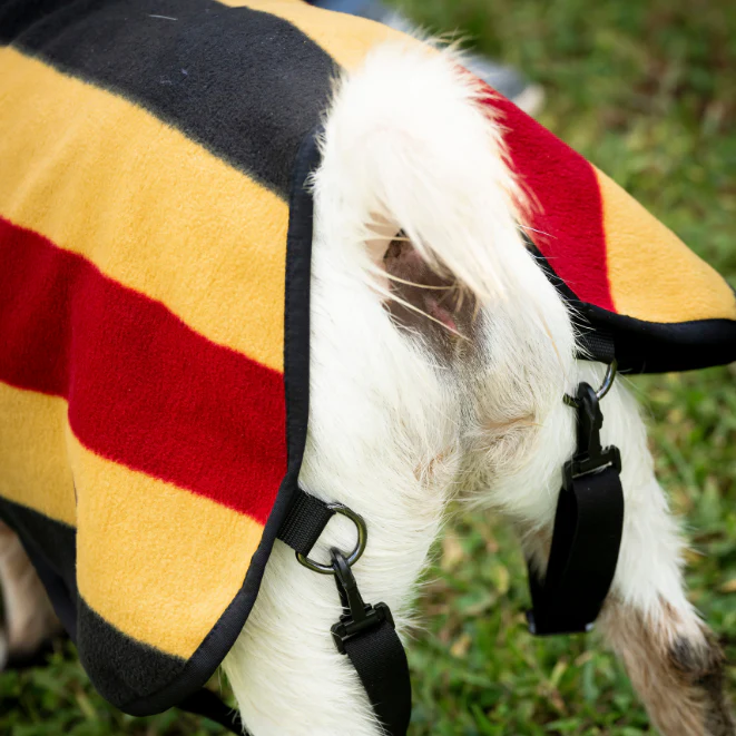 Horseware Ireland Newmarket Goat Fleece - Image 6