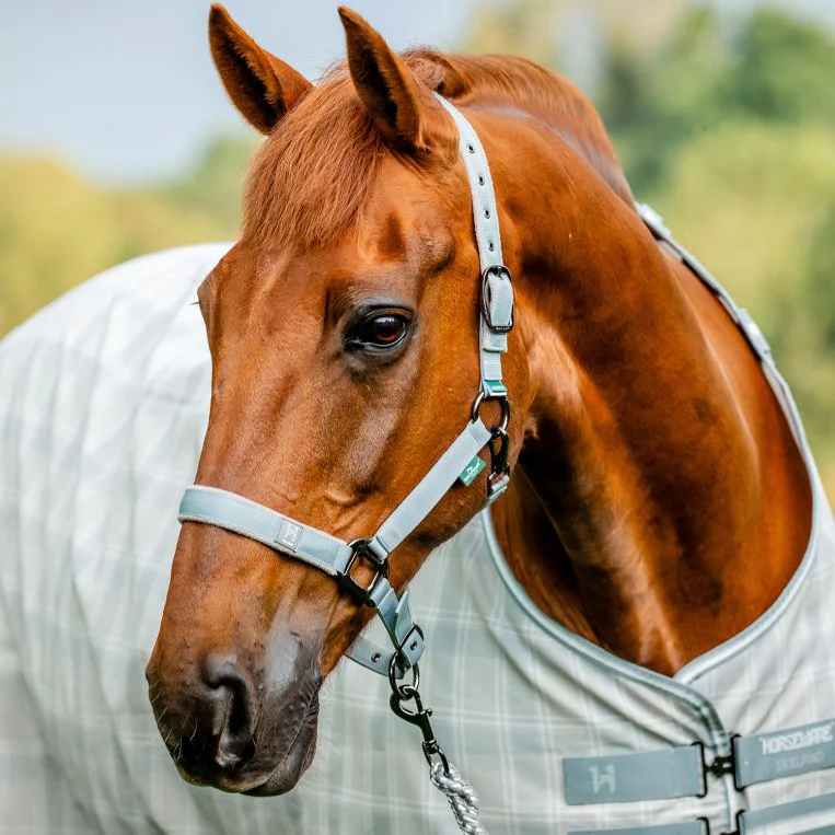 Horseware Ireland Newmarket Headcollar & Leadrope - Image 13