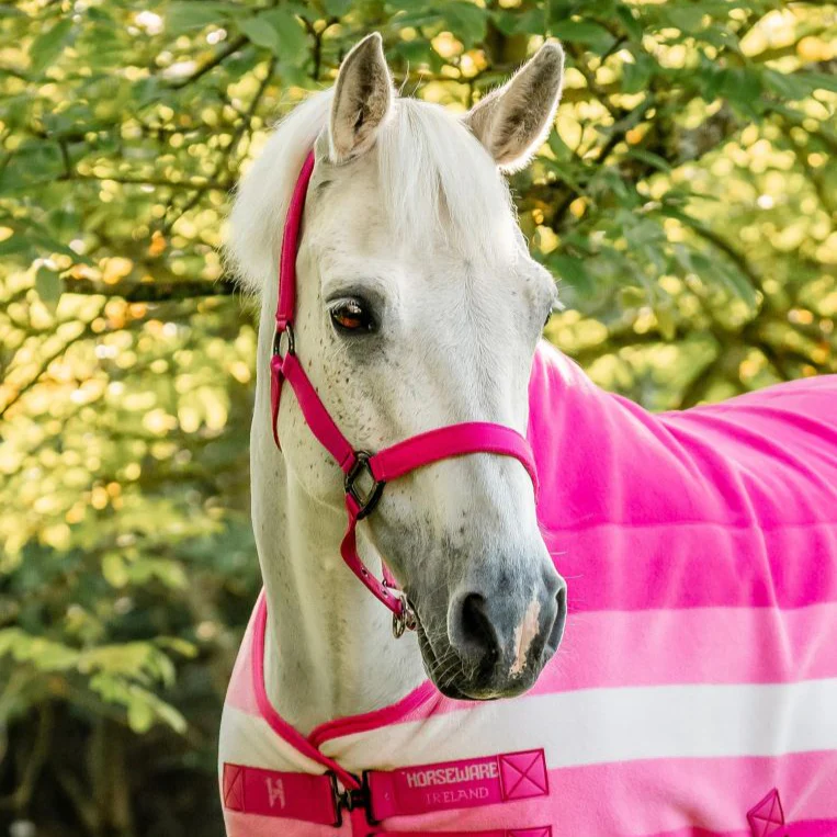 Horseware Ireland Newmarket Headcollar & Leadrope - Image 17