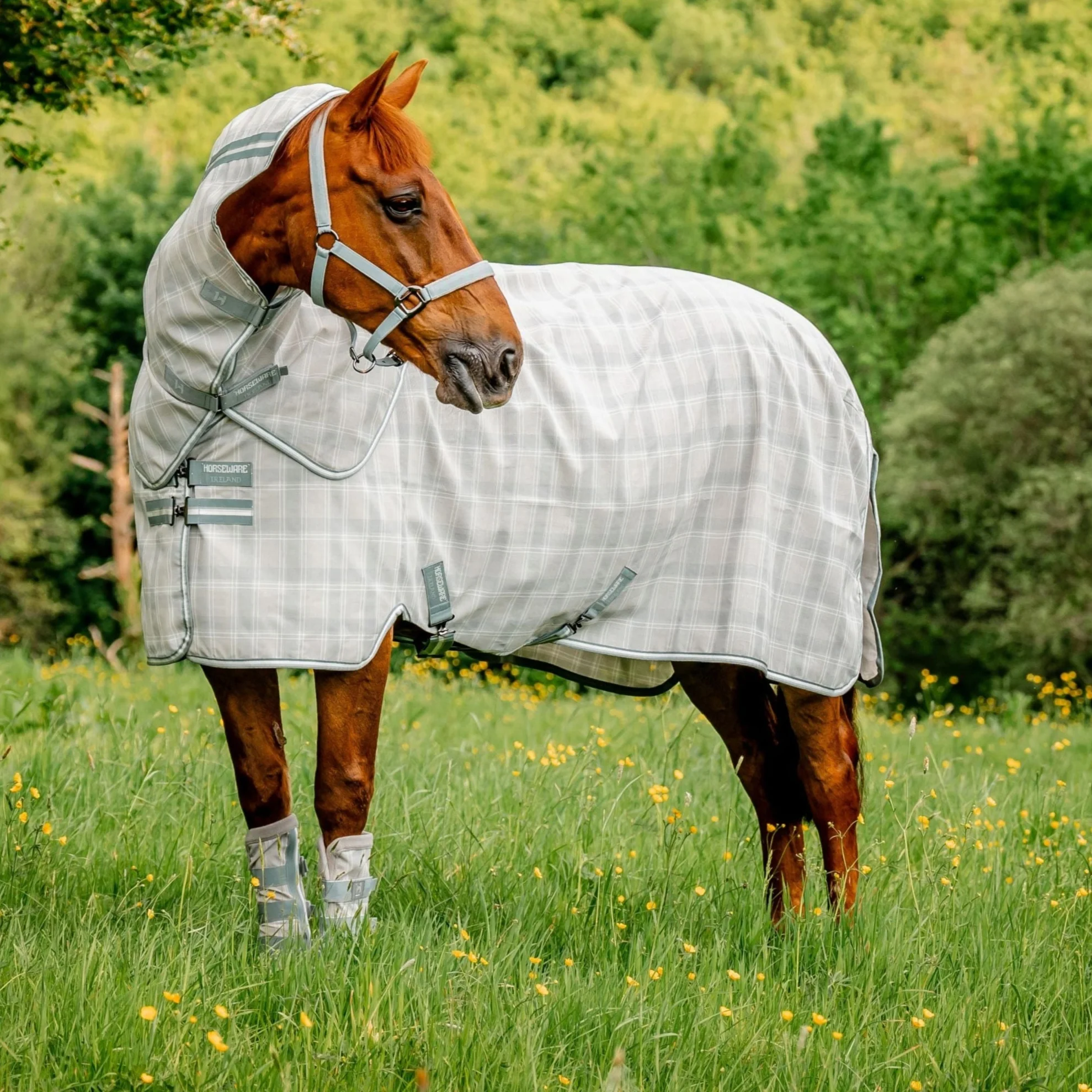 Horseware Ireland Newmarket Plus Fly Sheet - Image 15