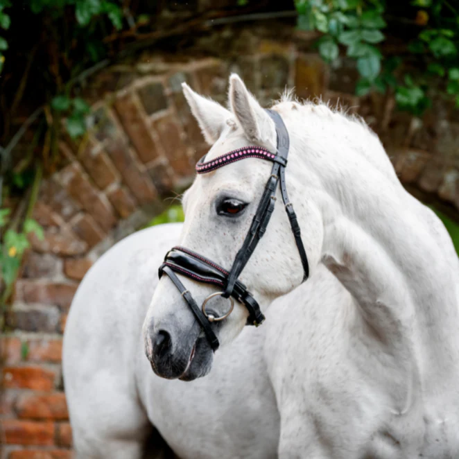 Horseware Ireland Pony Diamante Flash Bridle