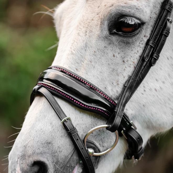 Horseware Ireland Pony Diamante Flash Bridle - Image 3