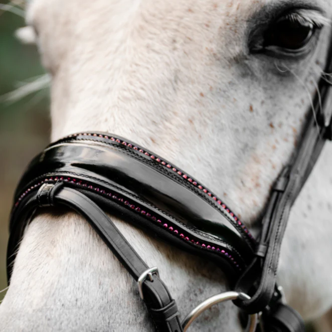 Horseware Ireland Pony Diamante Flash Bridle - Image 4