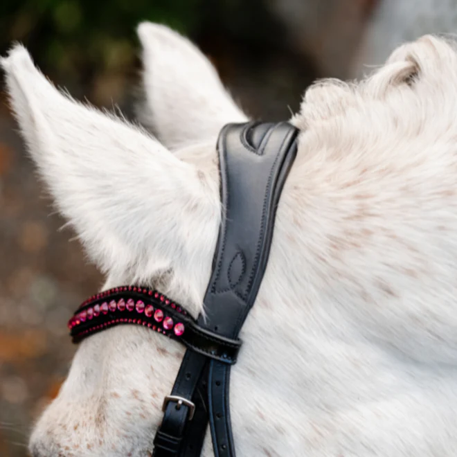 Horseware Ireland Pony Diamante Flash Bridle - Image 6