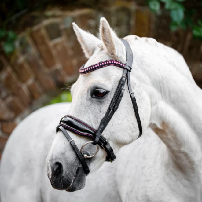 Horseware Ireland Pony Diamante Flash Bridle - Image 8