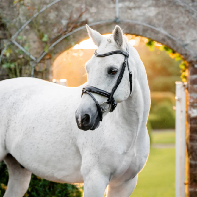 Horseware Ireland Pony Flash Bridle