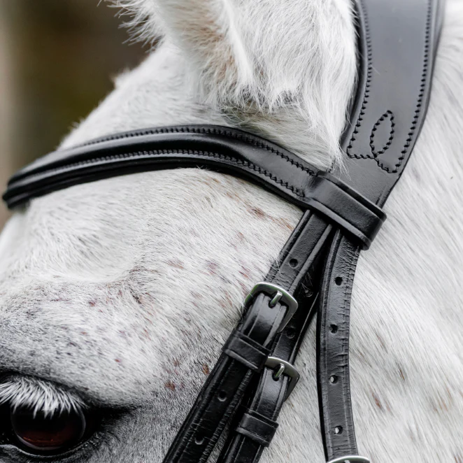 Horseware Ireland Pony Flash Bridle - Image 2