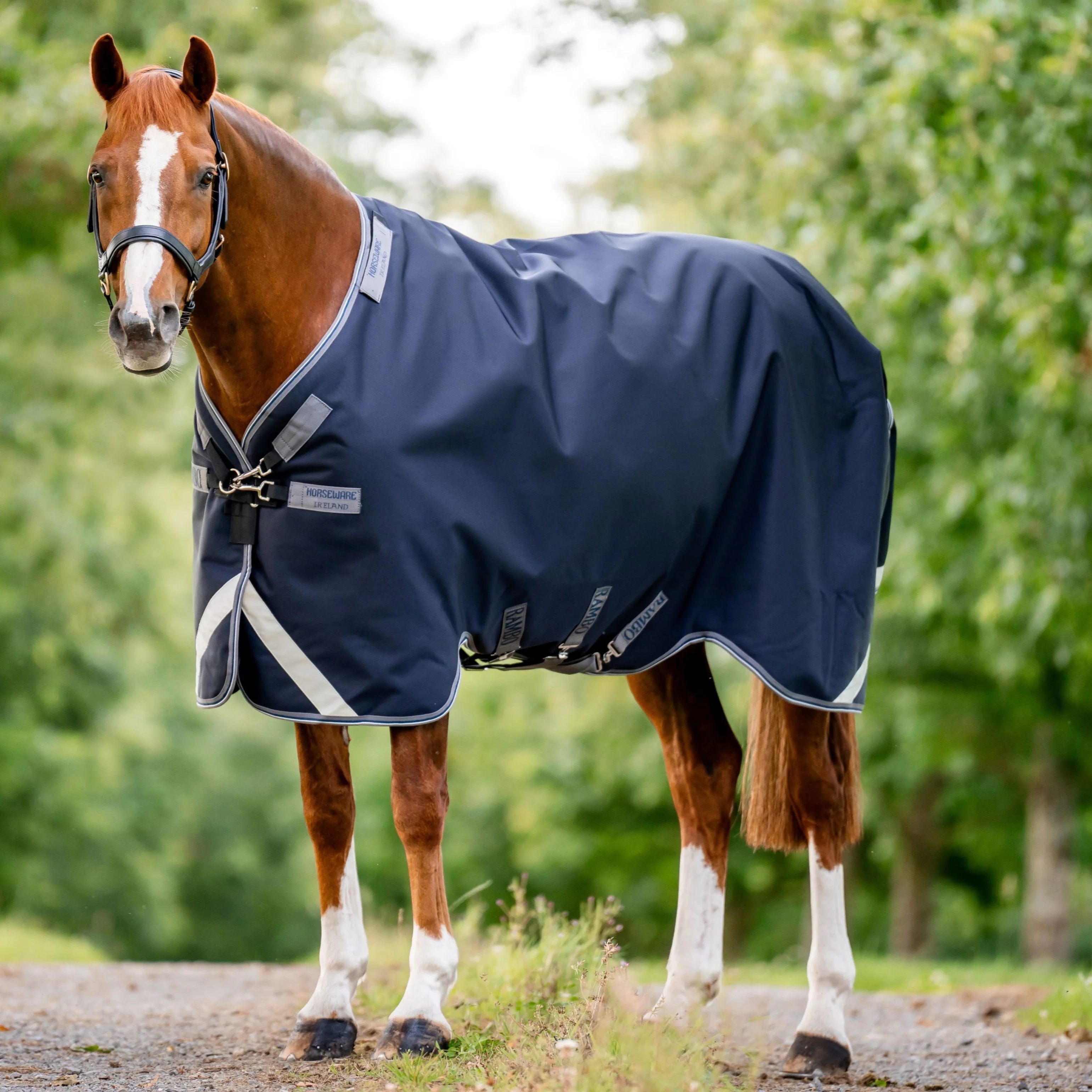 Horseware Ireland Rambo 1680D 100g Turnout Rug - Image 8