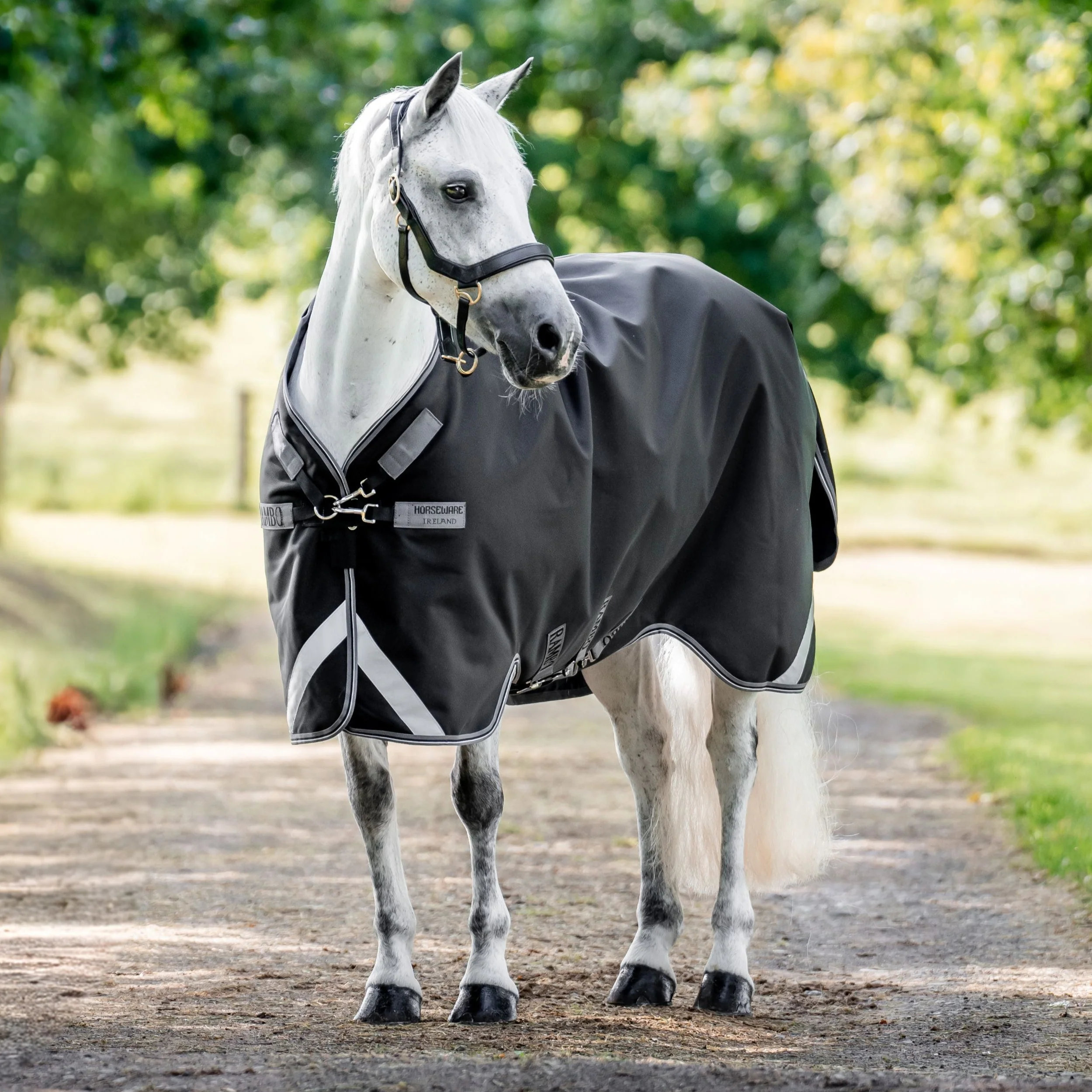 Horseware Ireland Rambo 1680D 50g Turnout Rug - Image 15