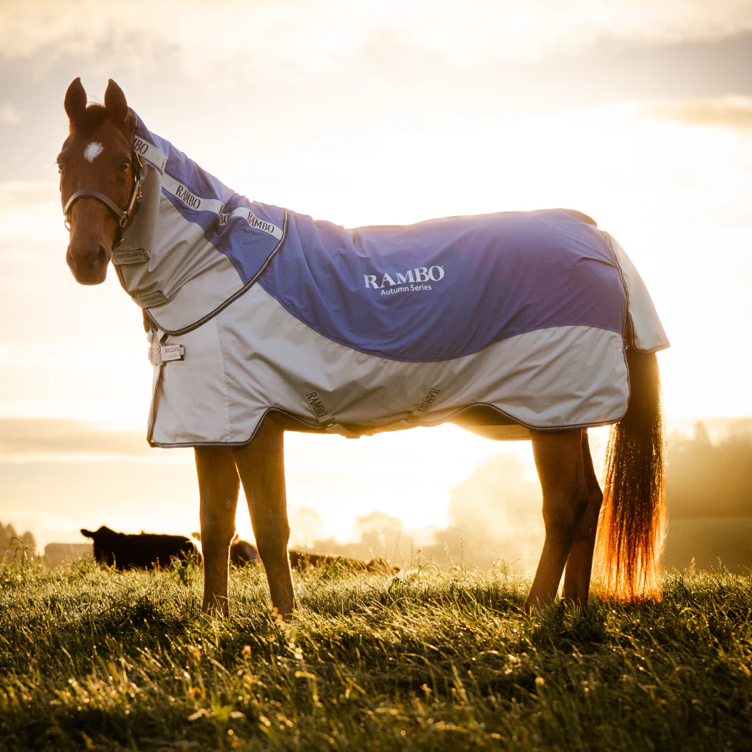 Horseware Ireland Rambo Autumn Series - Image 2