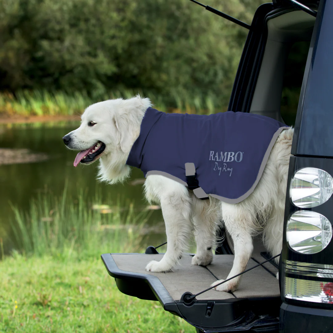 Horseware Ireland Rambo Dog Dry Rug
