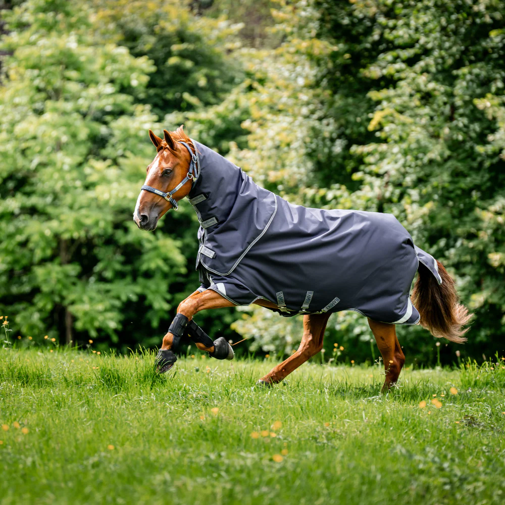 Horseware Ireland Rambo Duo Ripstop 100g Plus Turnout Bundle (100g + 200g) - Image 7