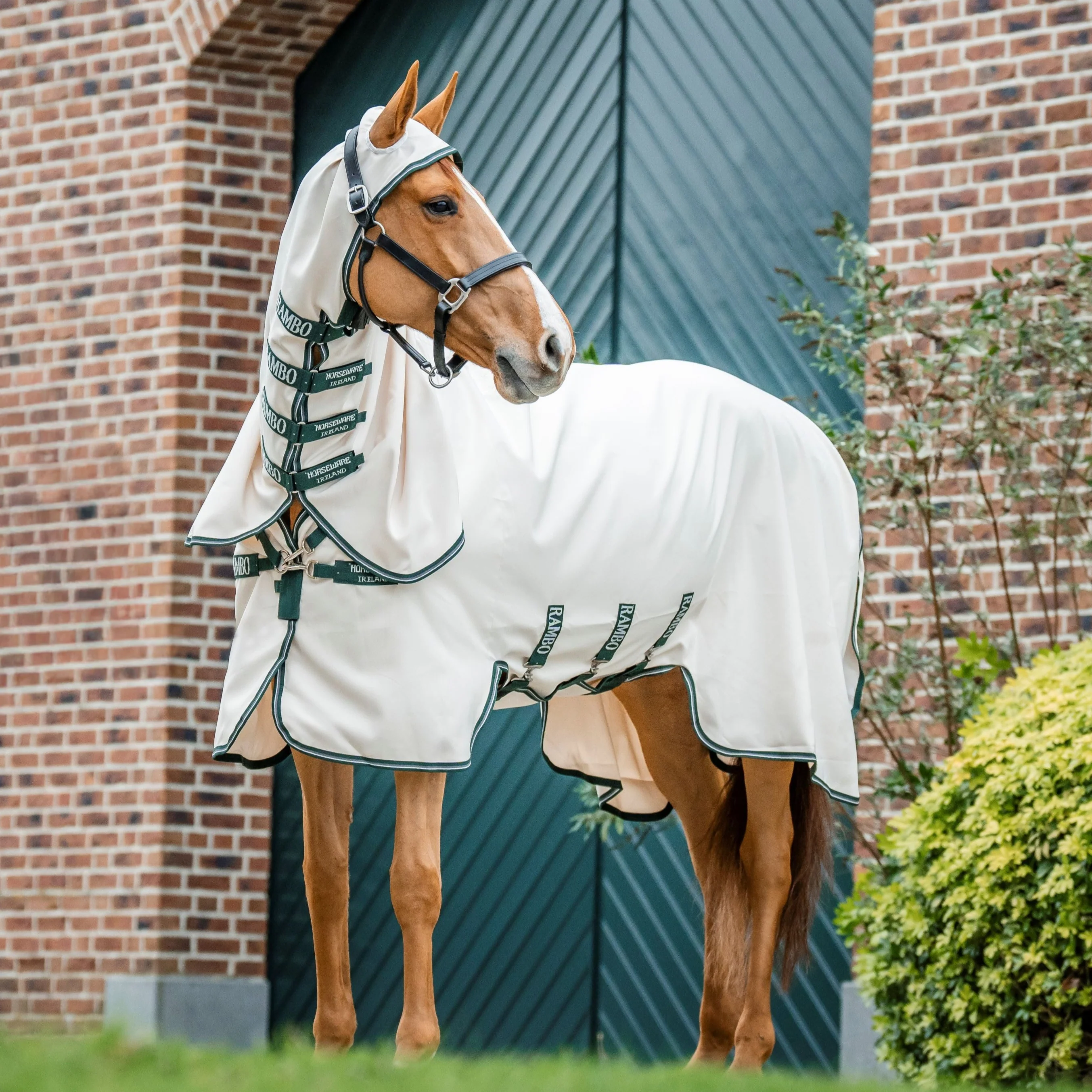 Horseware Ireland Rambo Hoody