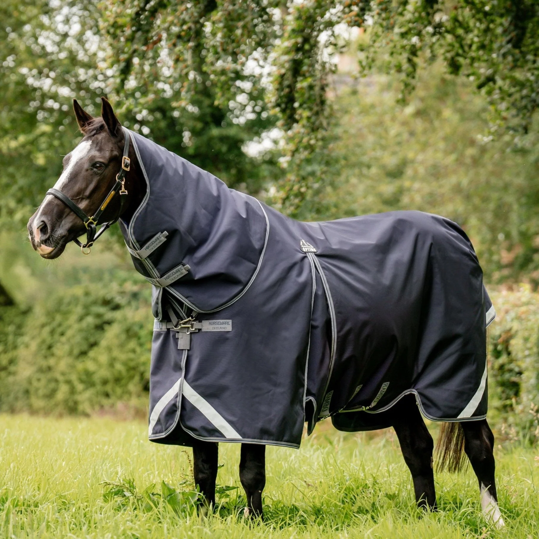 Horseware Ireland Rambo Optimo Plus Bundle - Image 4