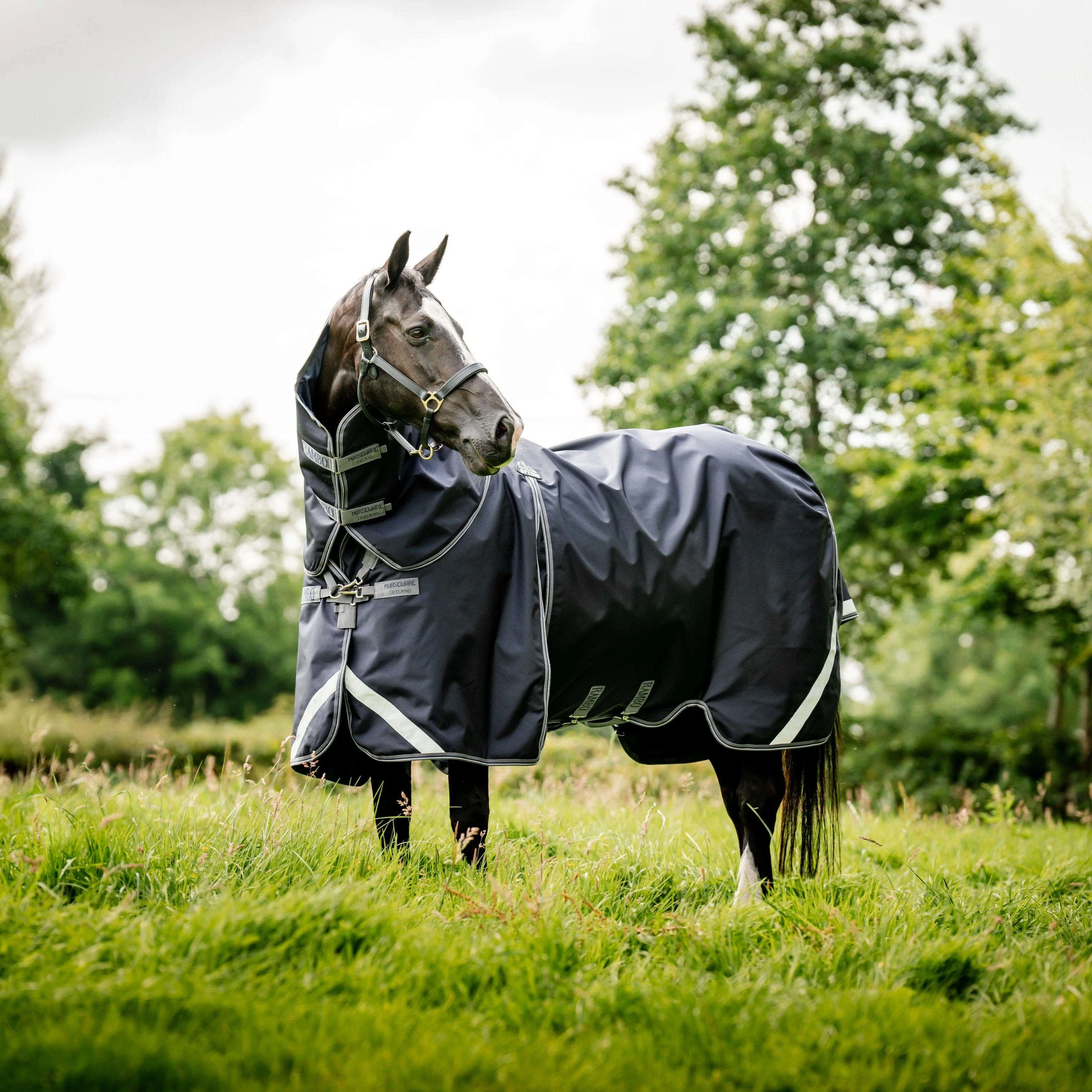 Horseware Ireland Rambo Optimo Plus Bundle - Image 5
