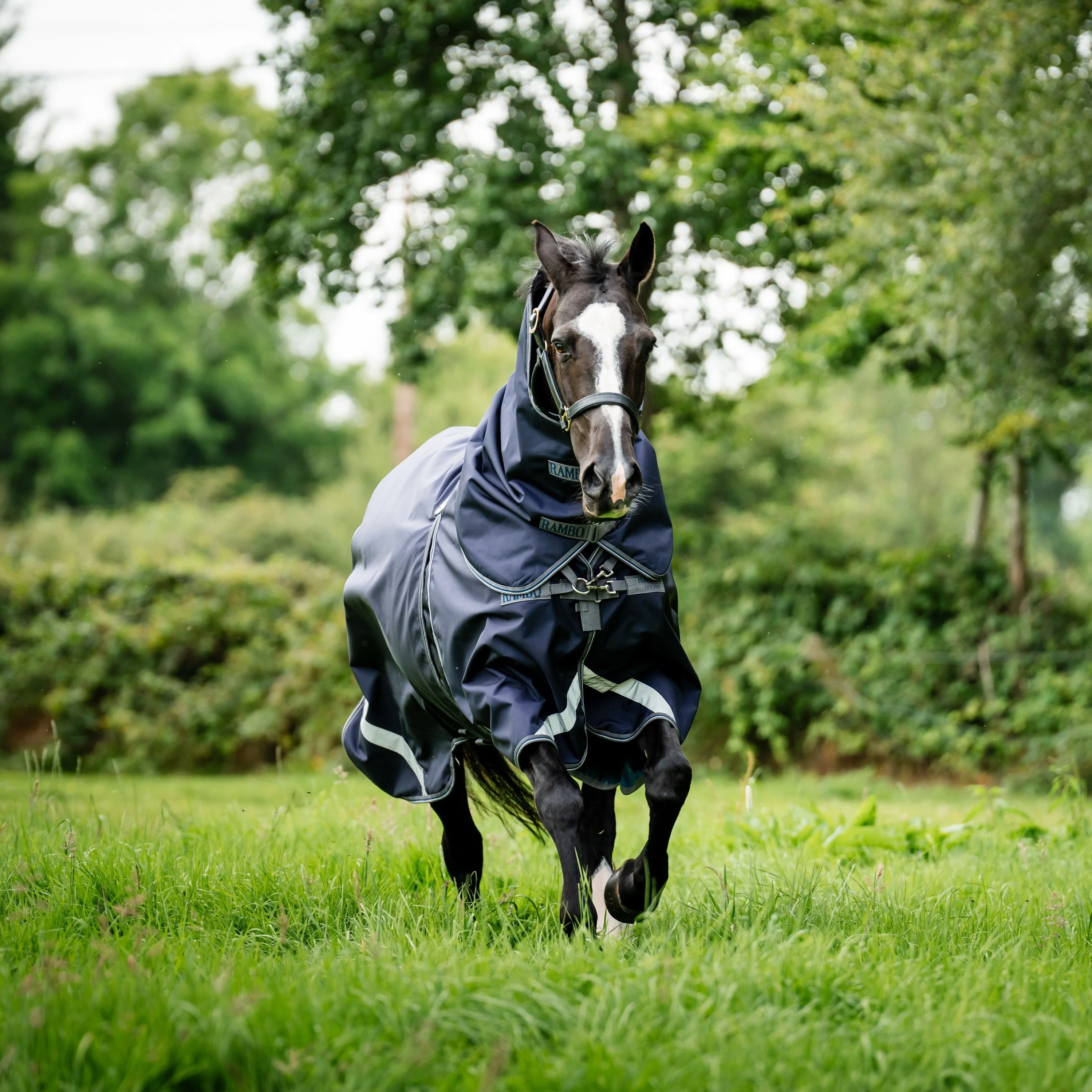 Horseware Ireland Rambo Optimo Plus Bundle - Image 6