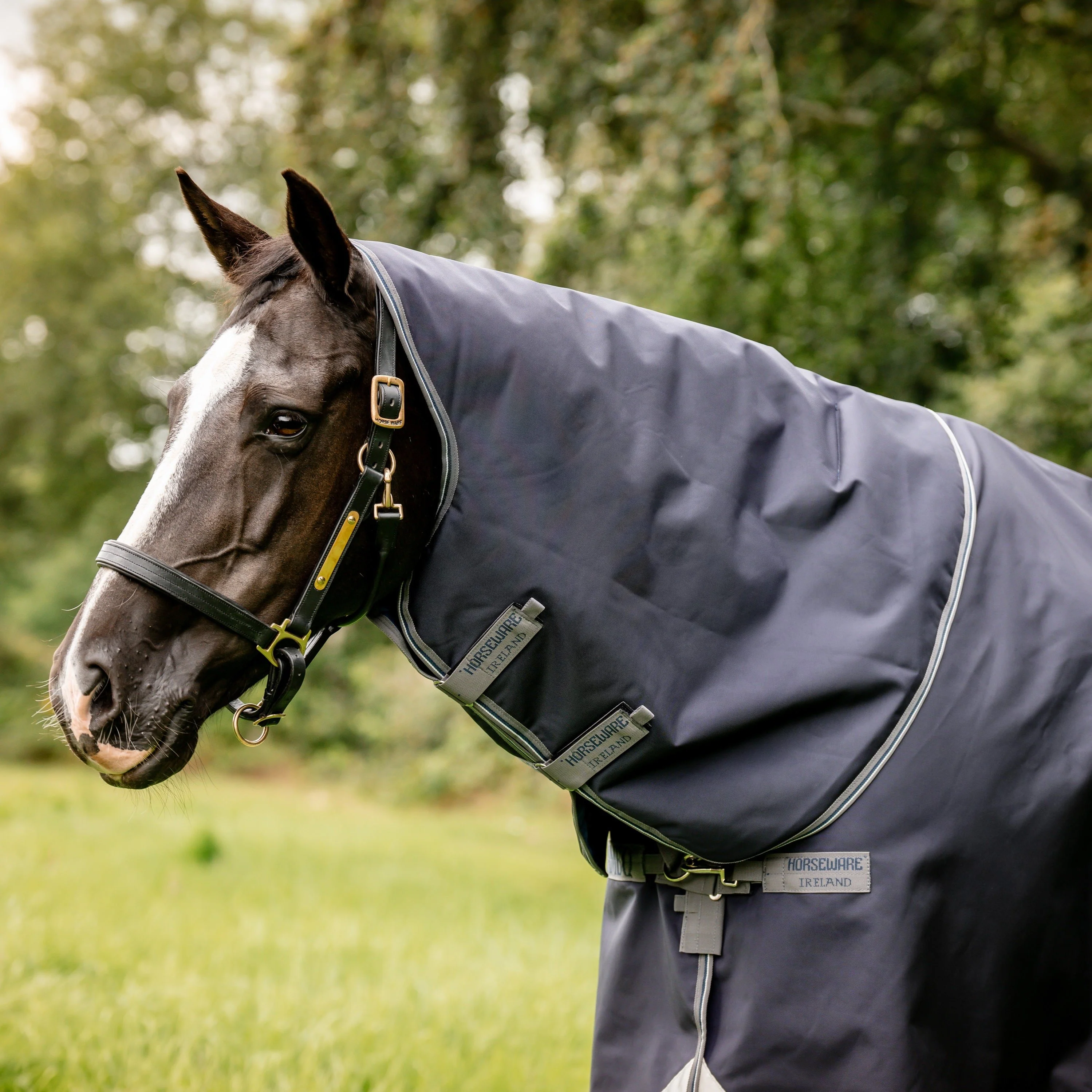 Horseware Ireland Rambo Optimo Plus Bundle - Image 7