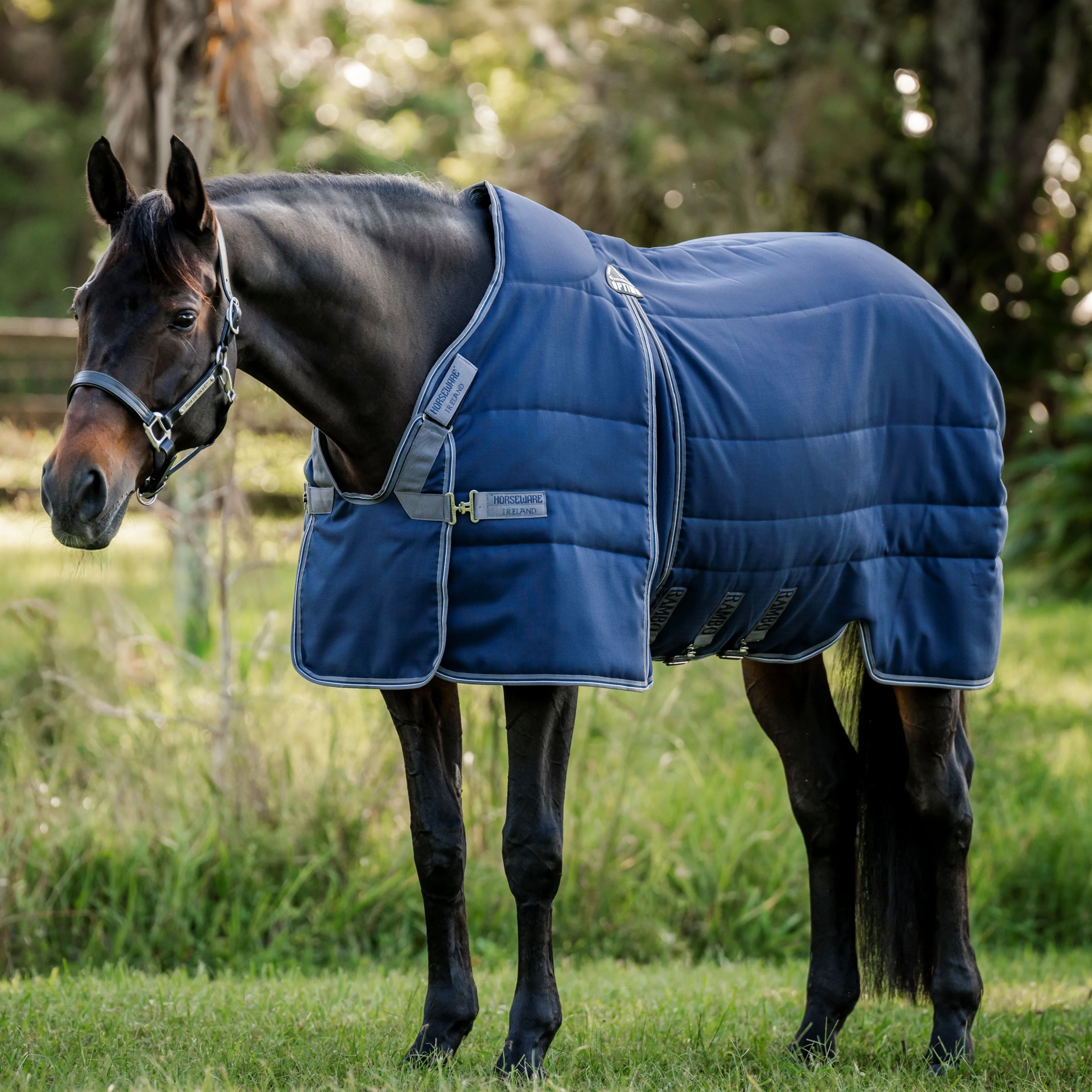 Horseware Ireland Rambo Optimo Stable Rug Heavy 400g - Image 6