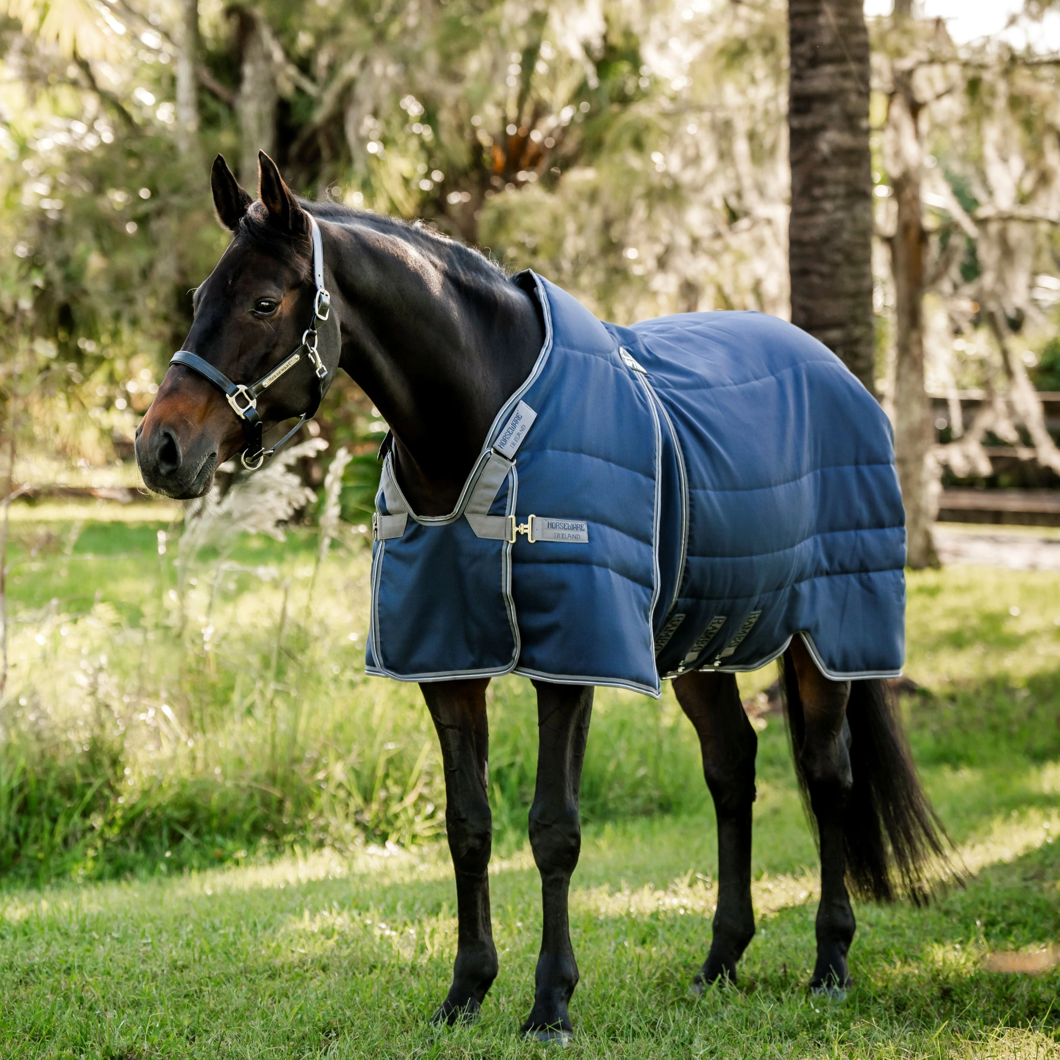 Horseware Ireland Rambo Optimo Stable Rug Heavy 400g - Image 7
