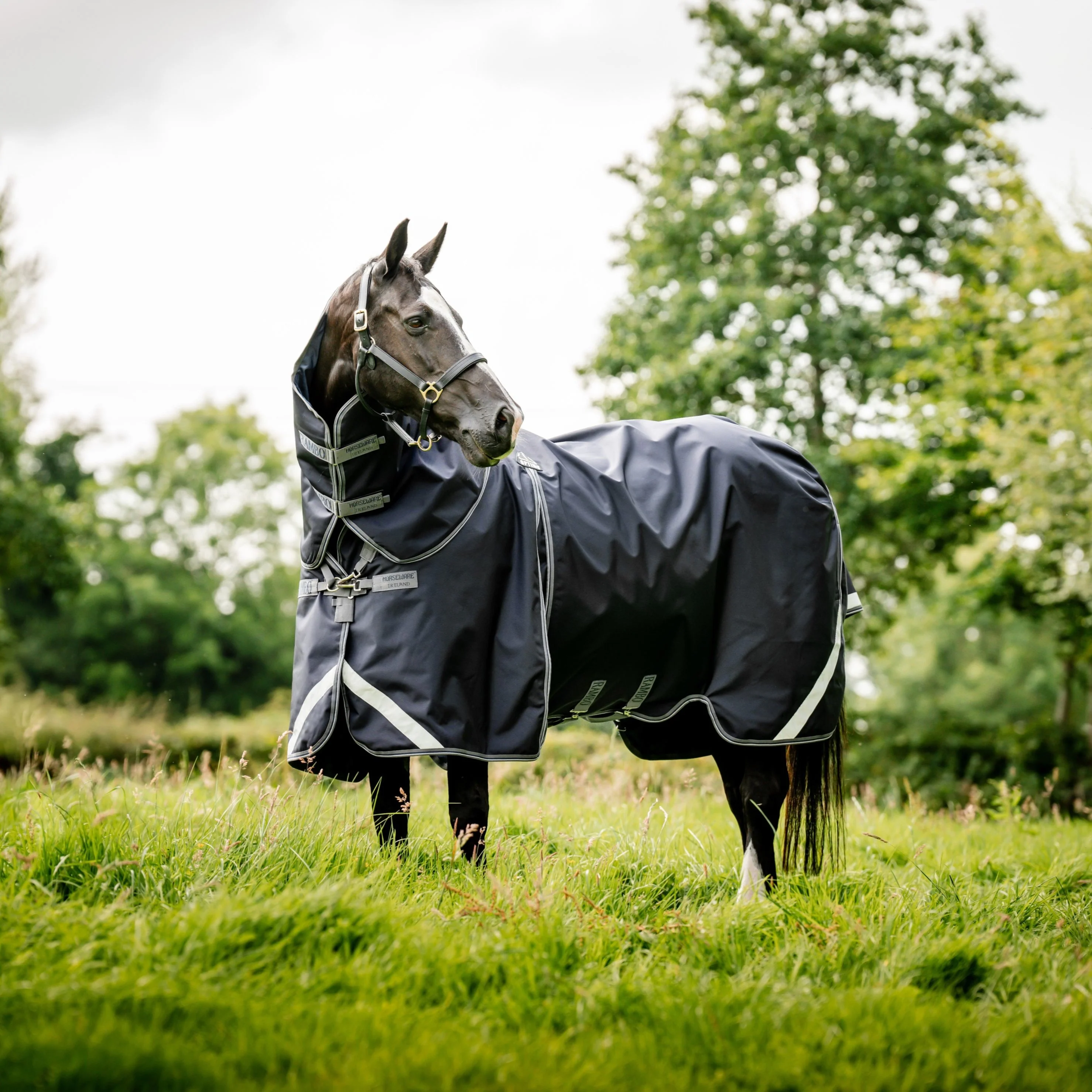 Horseware Ireland Rambo Optimo Turnout Plus - Image 5